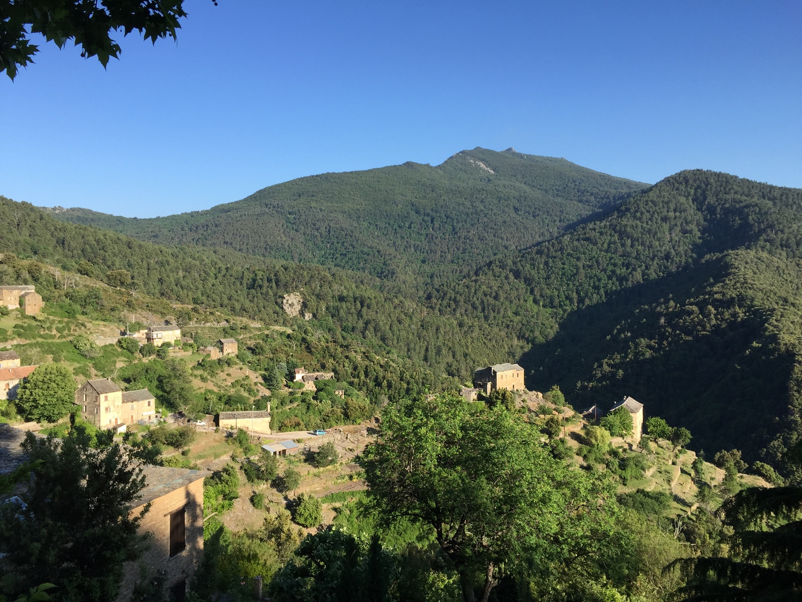 Photo France Corse Castagniccia 2015-05 1