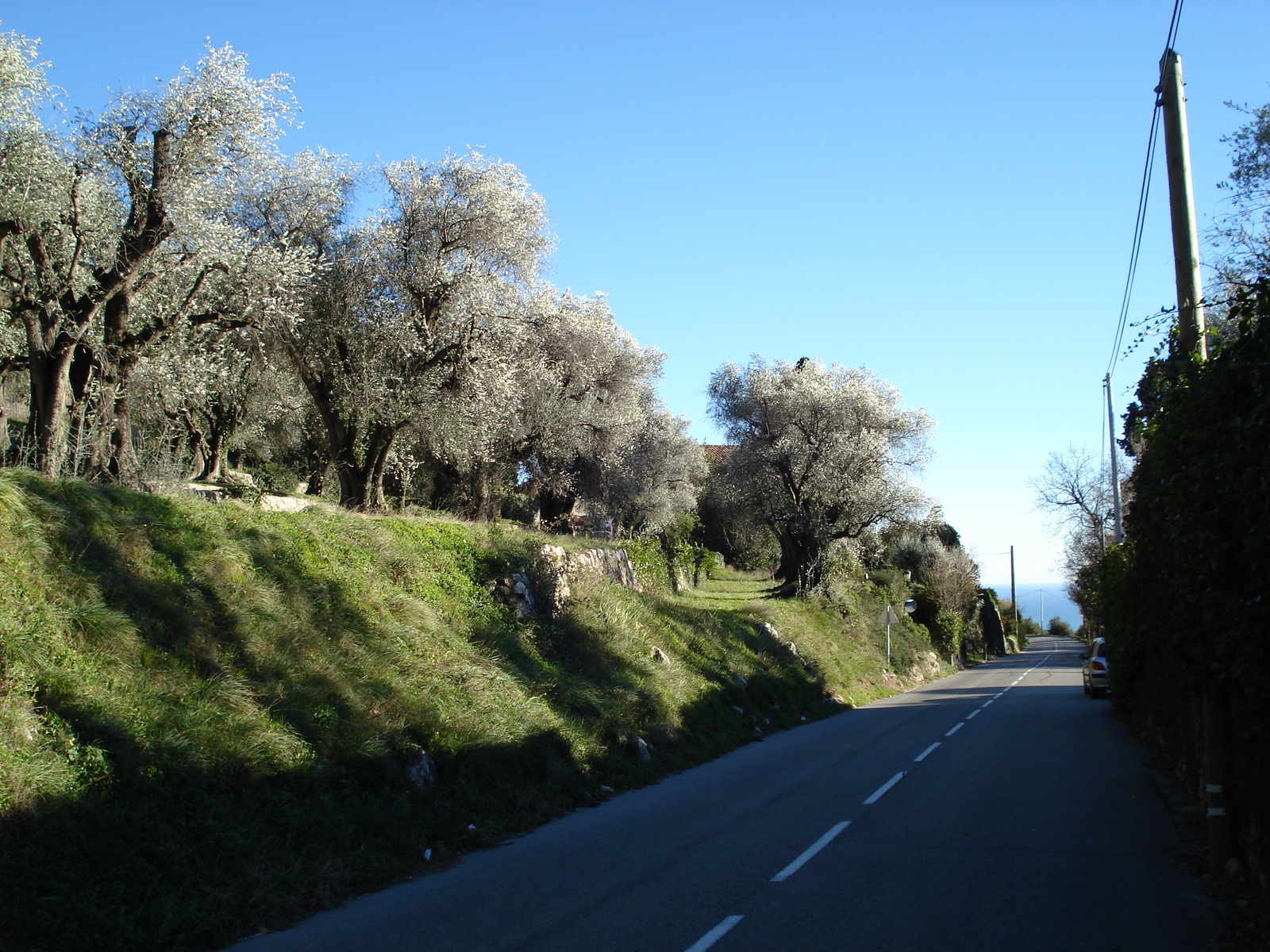 Photo France Côte d'Azur route du Col de Vence 2007-01 5