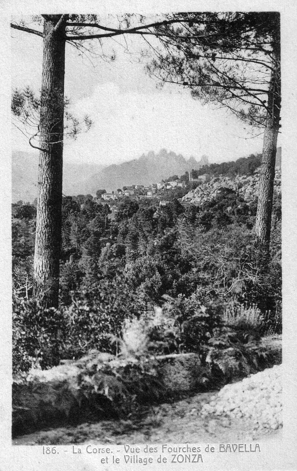 Photo France Corse Cartes postales anciennes 1900-01 255