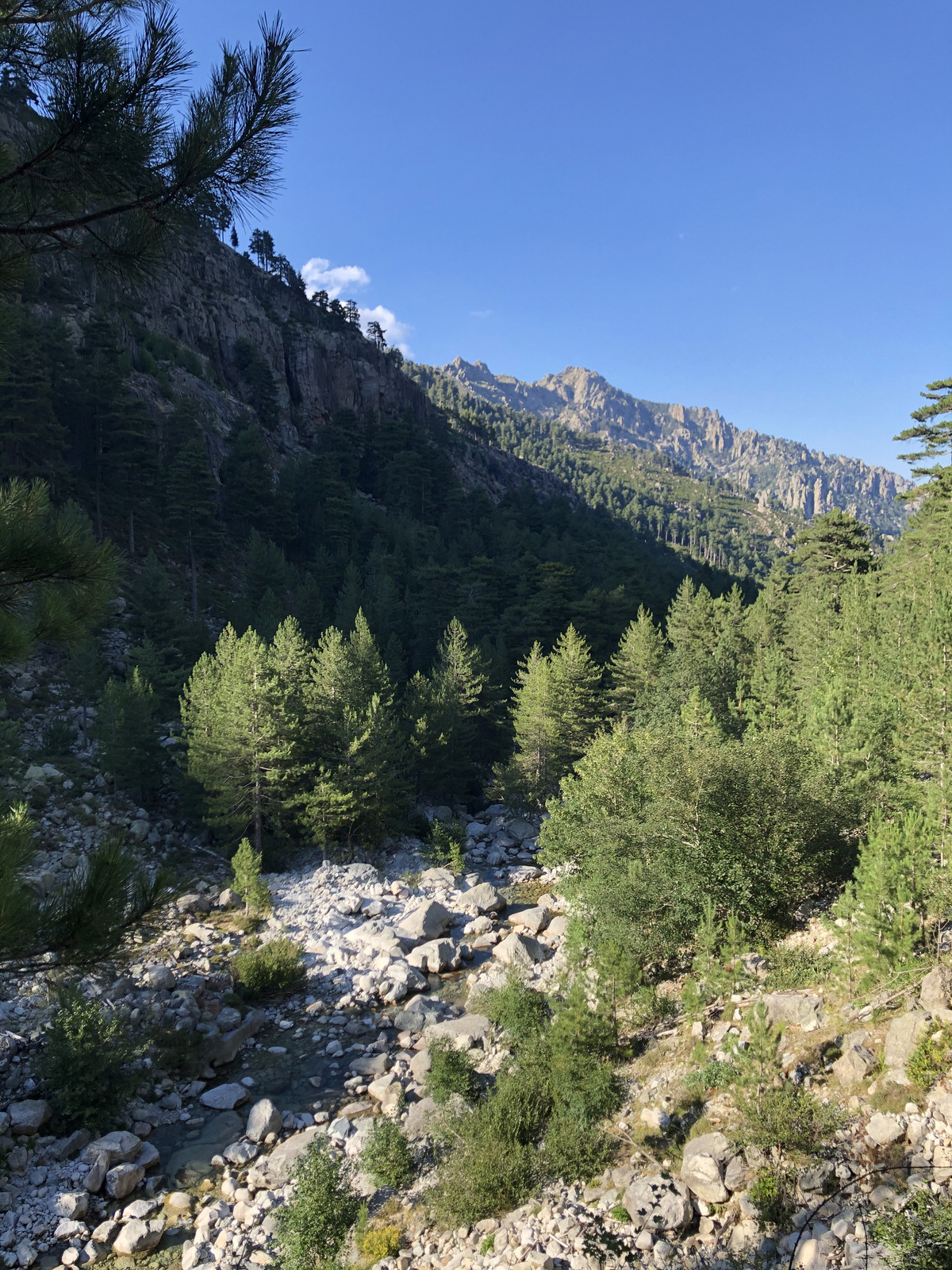 Photo France Corse La Restonica 2020-07 122
