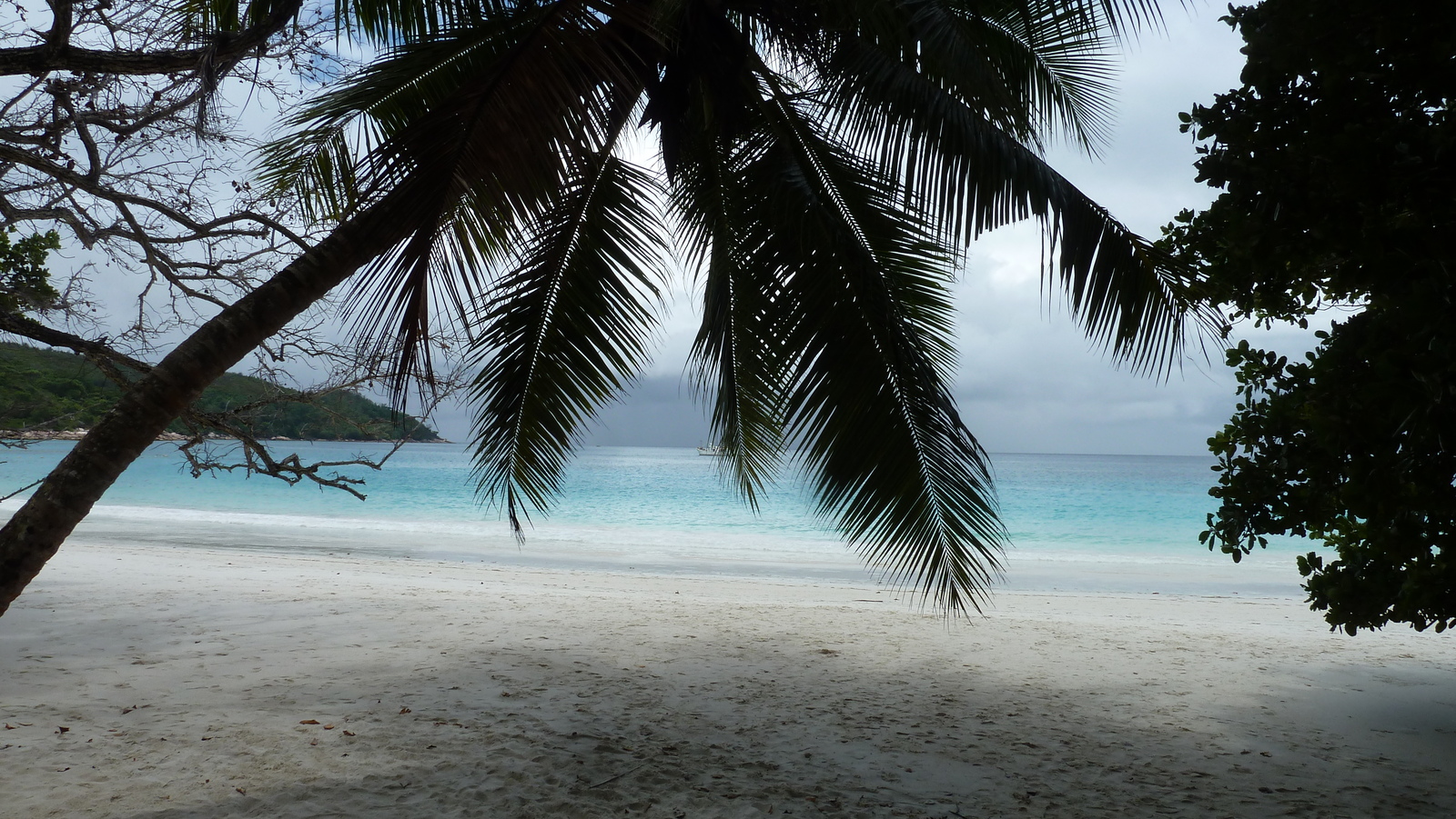 Photo Seychelles Anse Lazio 2011-10 141