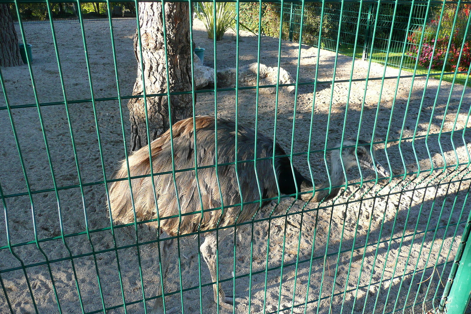 Photo France Nice Parc Phoenix 2007-10 18