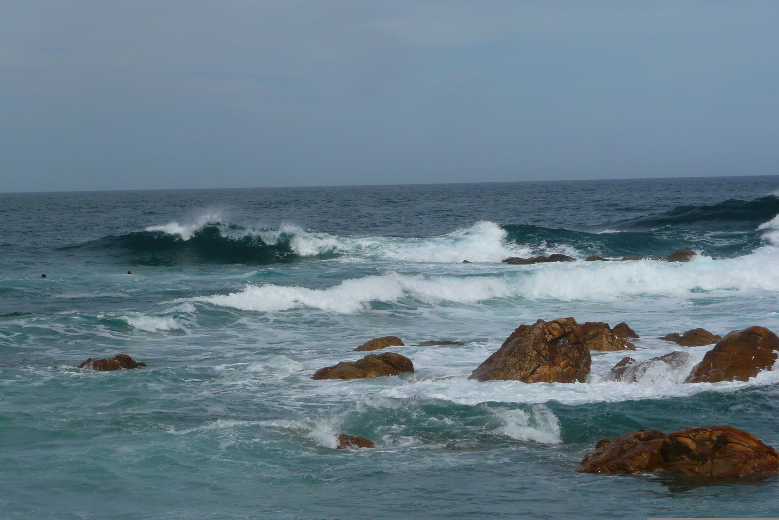 Photo Afrique du Sud Cape Saint Blaise 2008-09 45