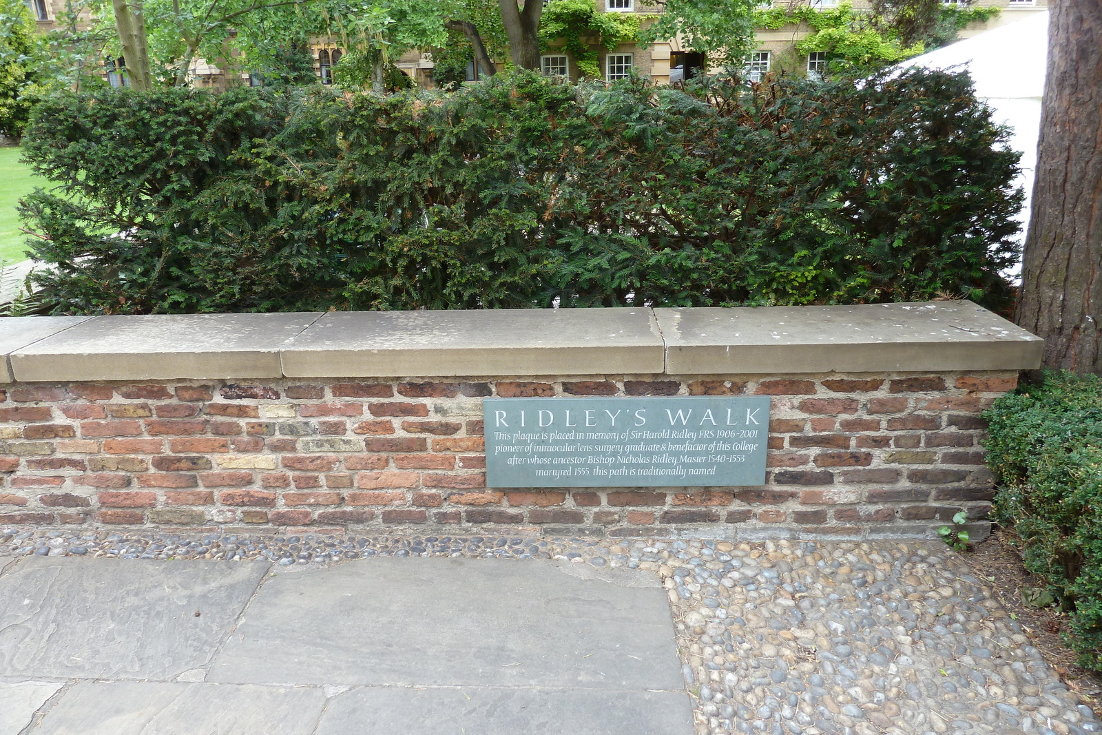 Photo Royaume-Uni Cambridge 2011-07 60