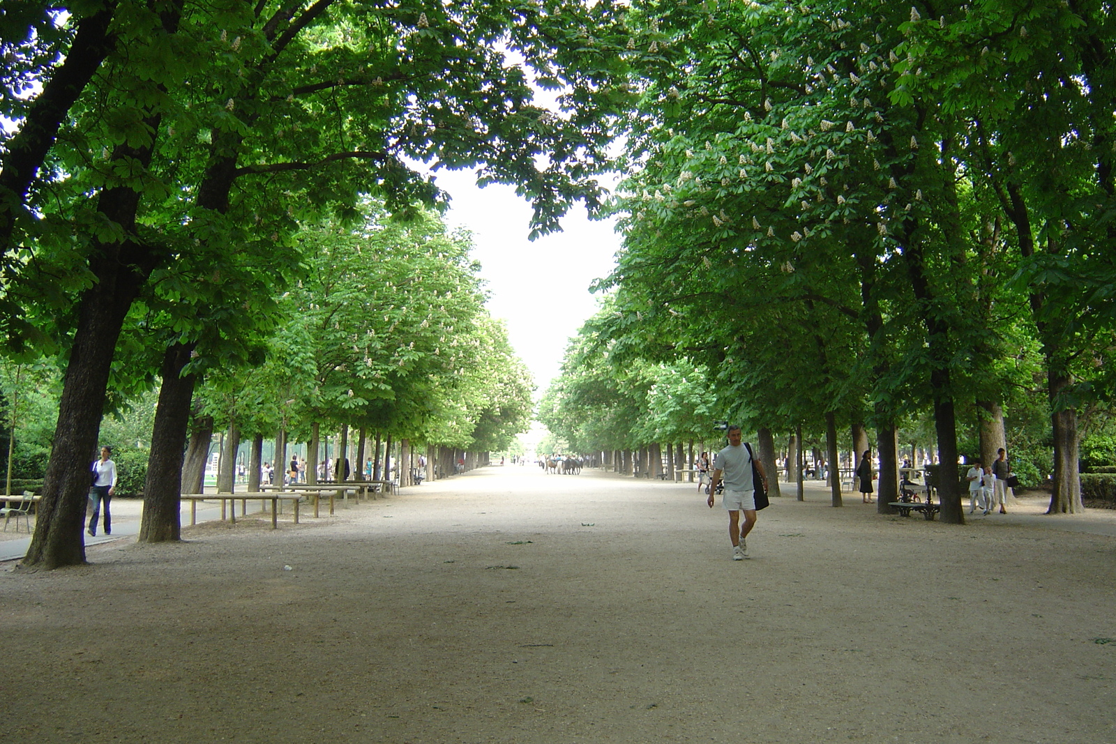 Photo France Paris Jardin du Luxembourg 2007-04 13