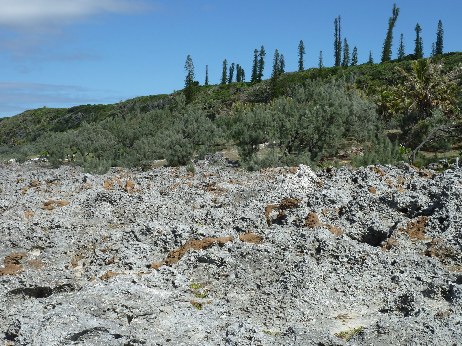 Photo Nouvelle-Calédonie Lifou Falaises de Xodre 2010-05 27