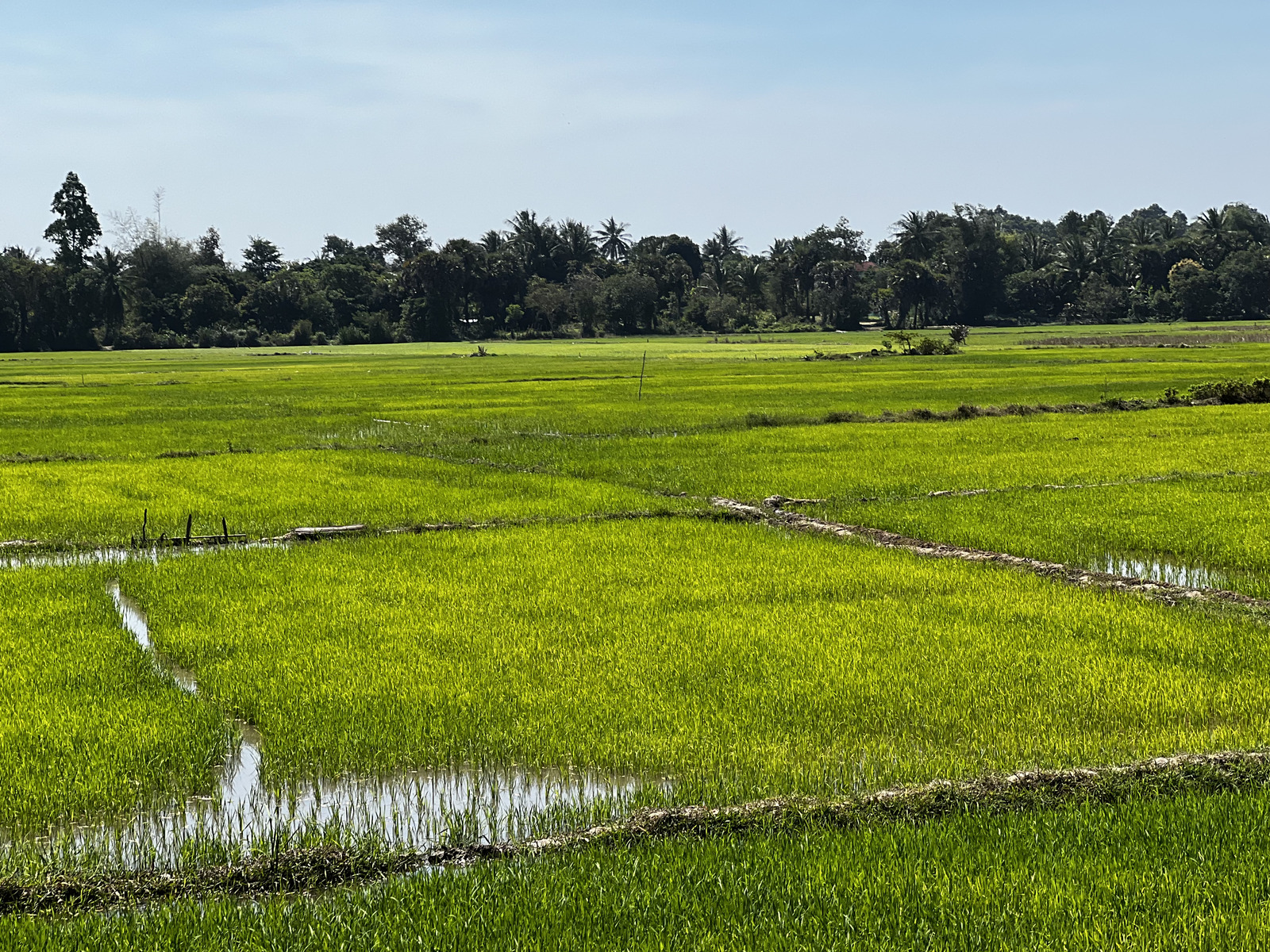 Photo Cambodge Siem Reap 2023-01 131