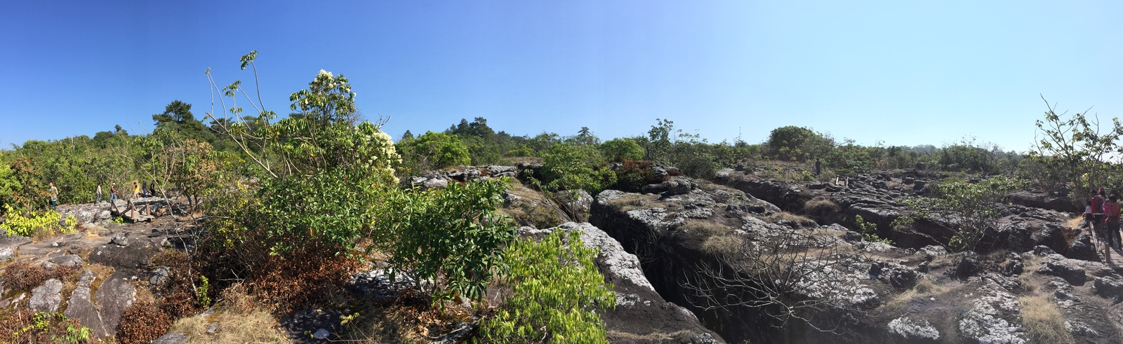Photo Thaïlande Parc National Phu Hin Rong Kla 2014-12 371