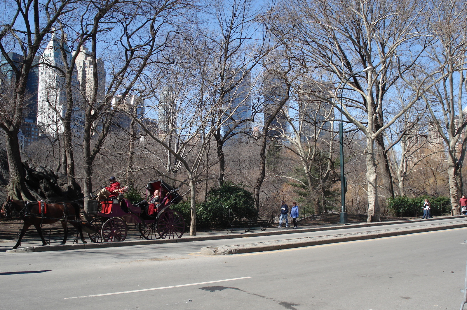 Photo États-Unis New York Central Park 2006-03 53