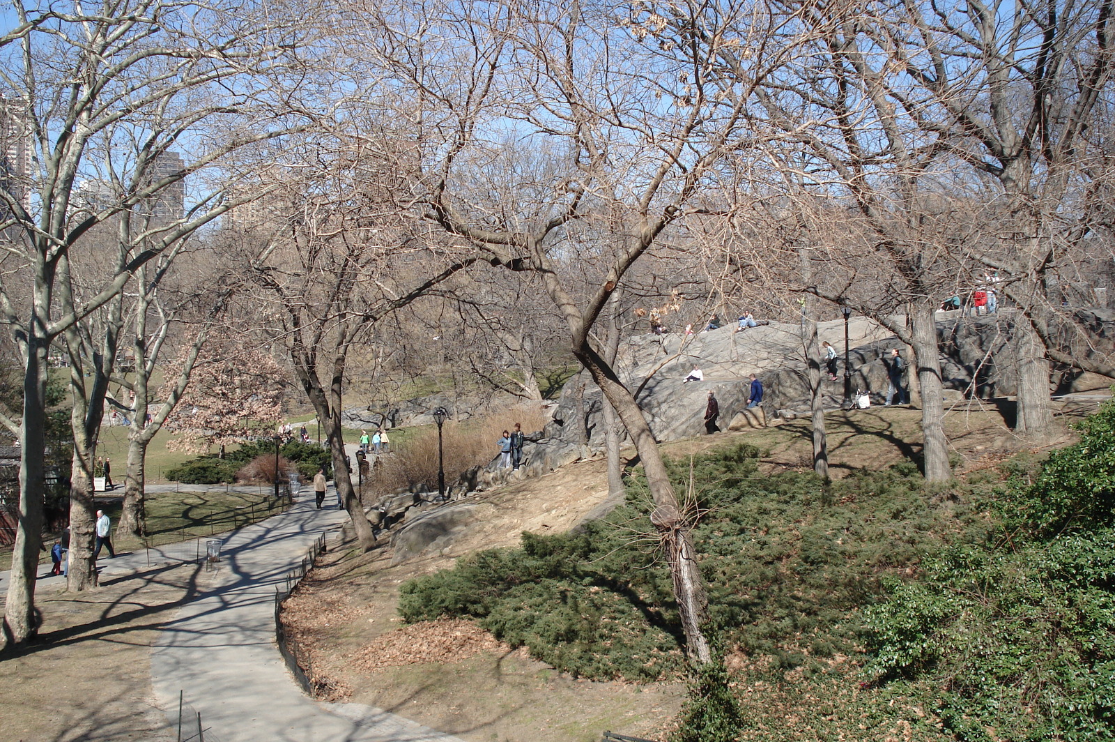 Photo États-Unis New York Central Park 2006-03 63