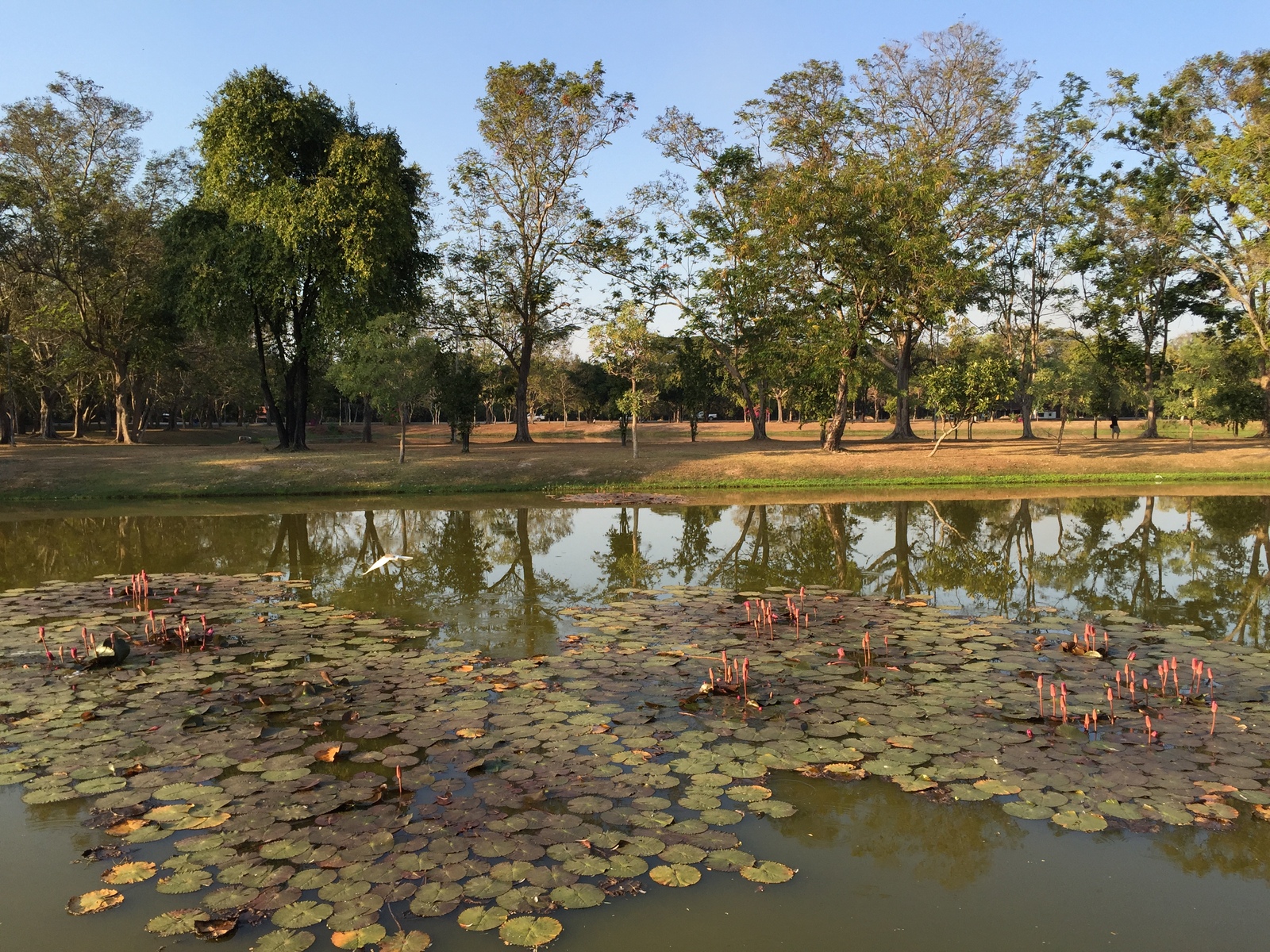 Photo Thaïlande Sukhothai 2014-12 73