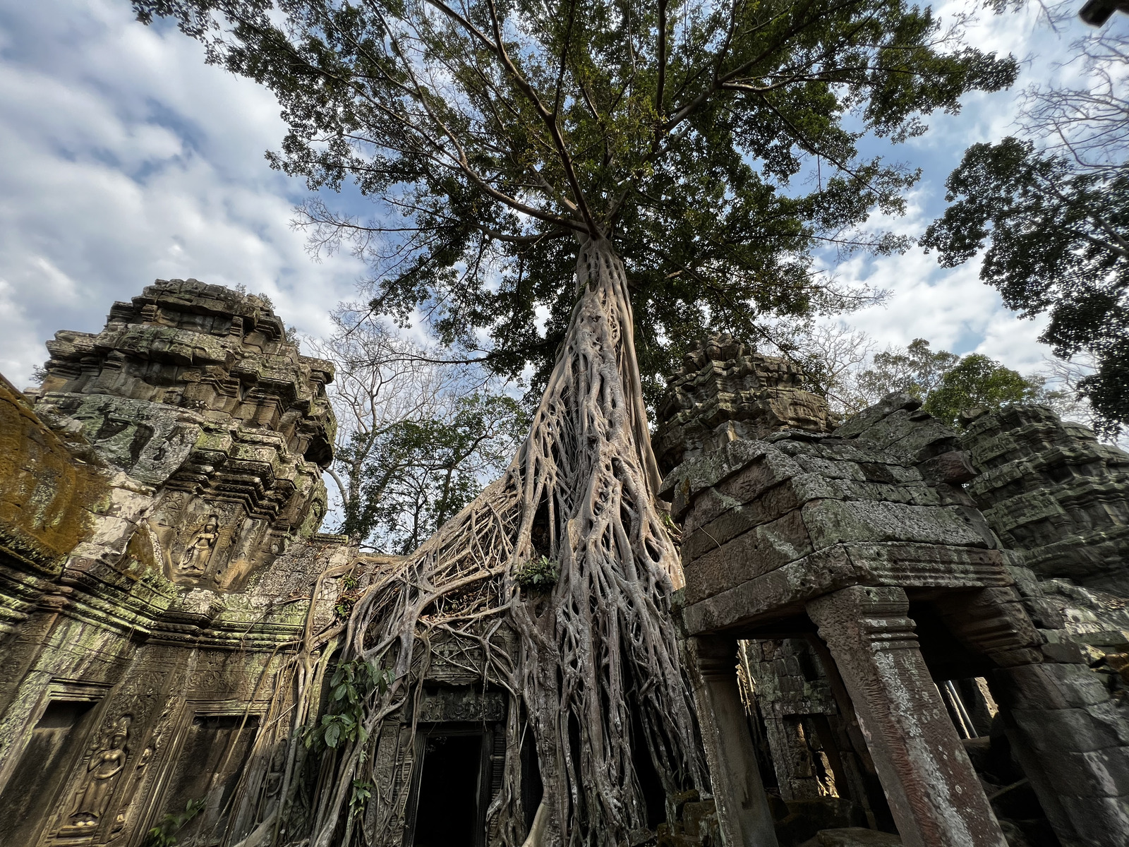 Photo Cambodge Siem Reap Ta Prohm 2023-01 59