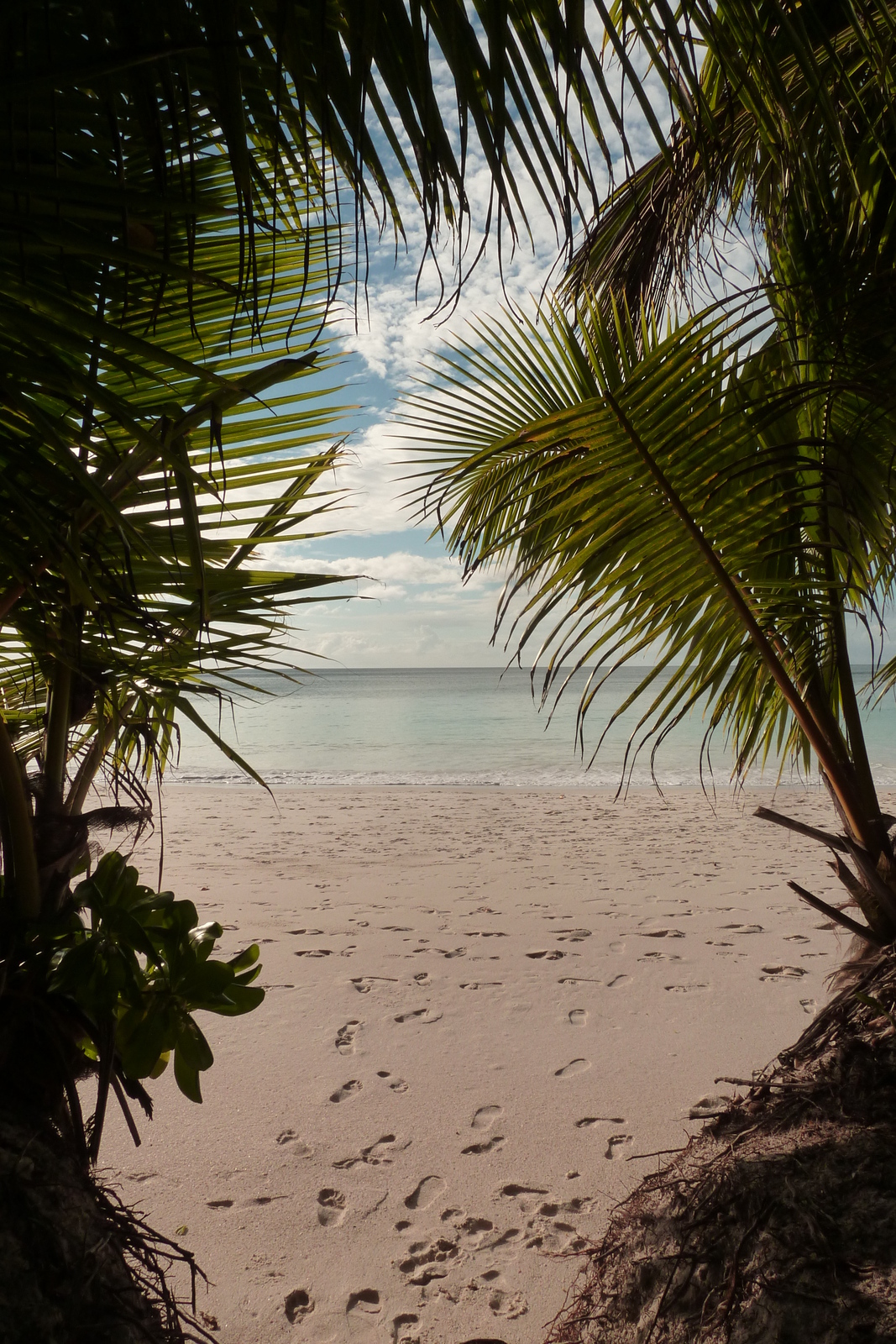 Photo Seychelles Anse Lazio 2011-10 34
