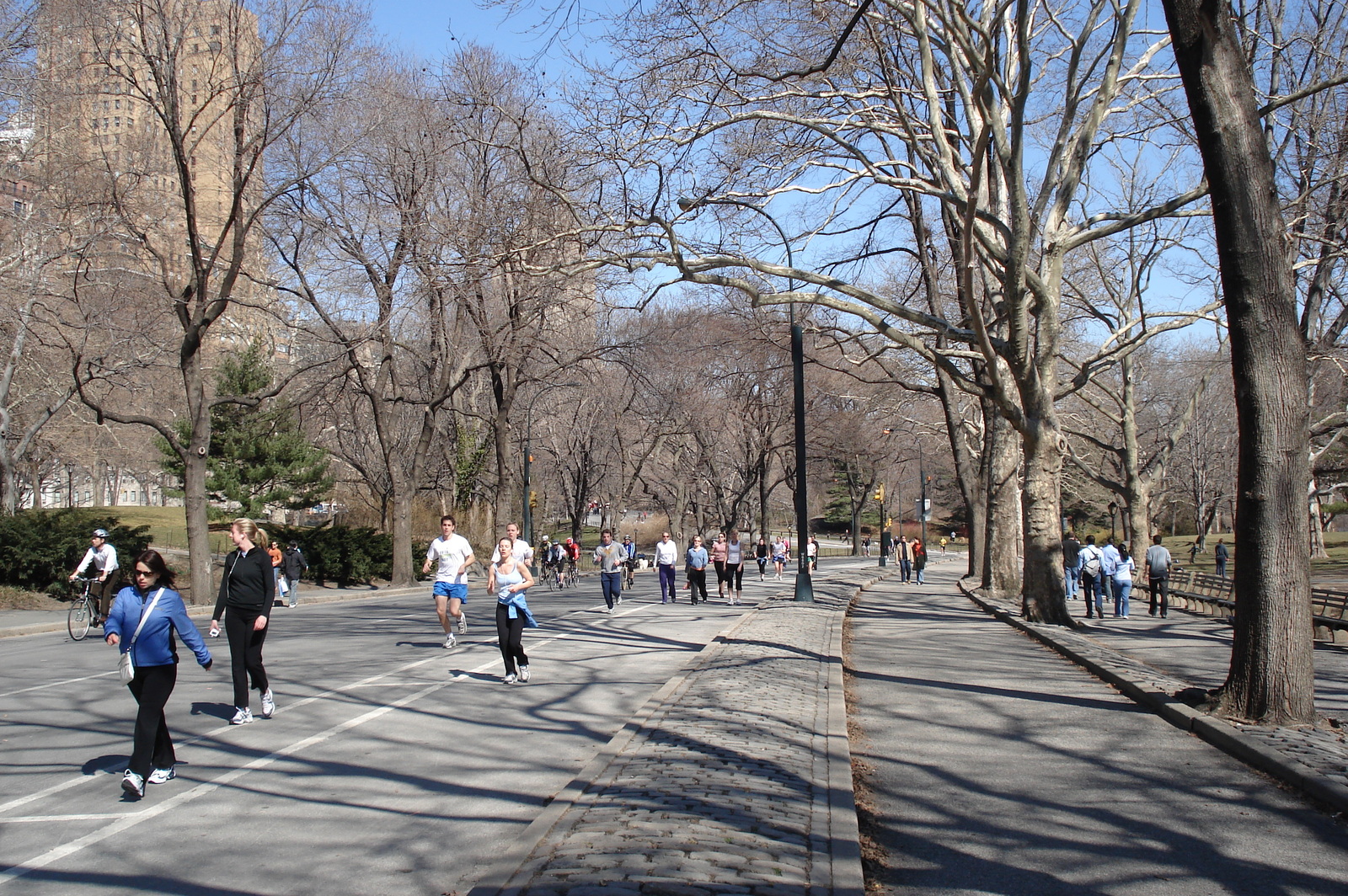 Photo États-Unis New York Central Park 2006-03 30