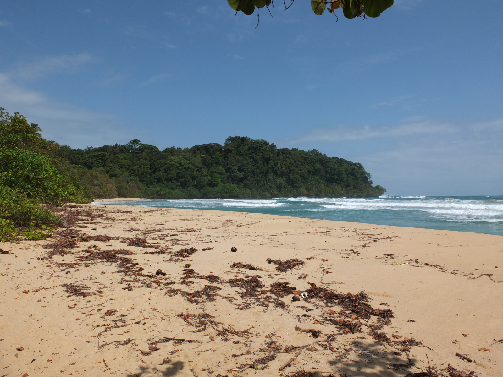 Photo Panama Bastimentos 2015-03 37