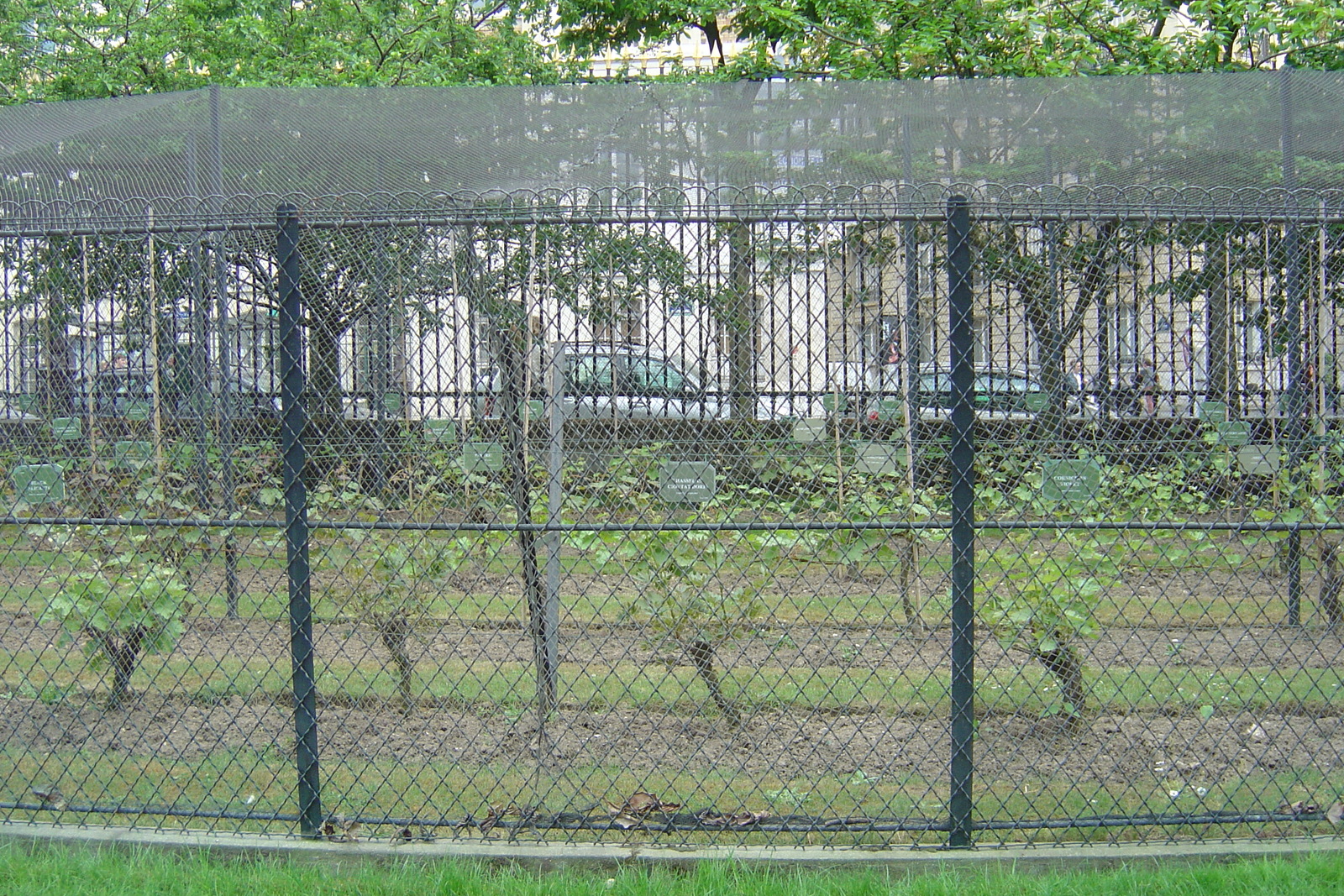 Photo France Paris Jardin du Luxembourg 2007-04 31
