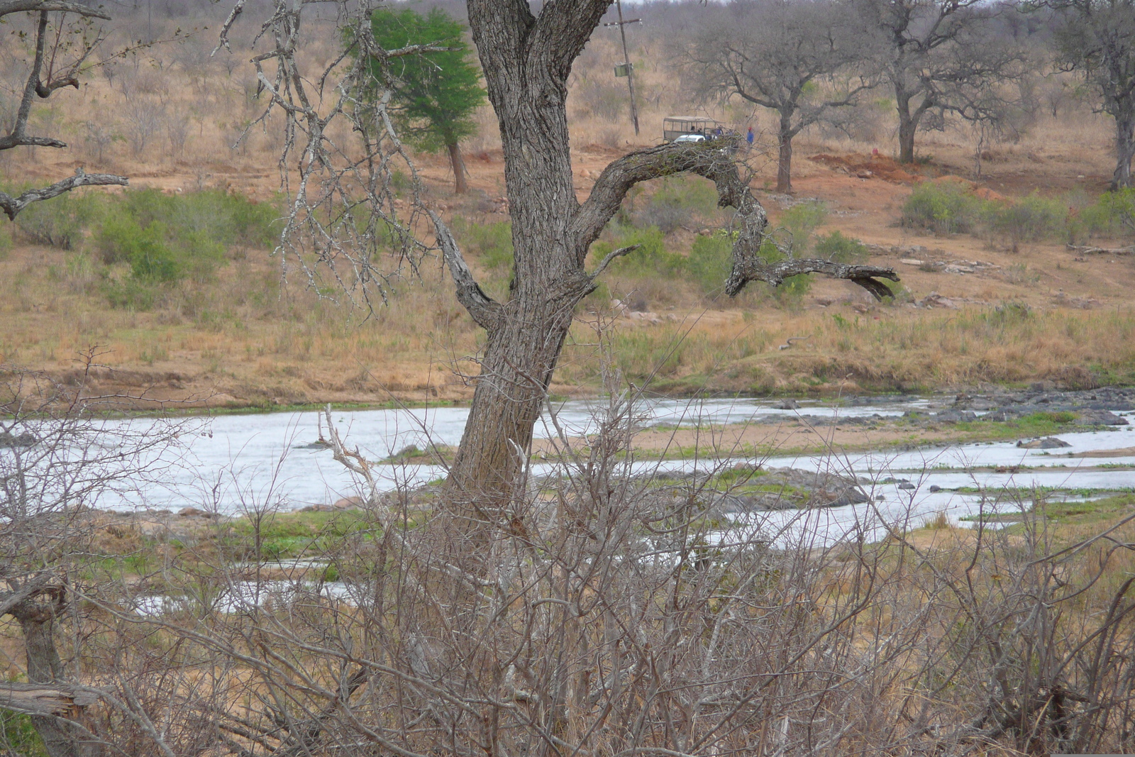 Photo Afrique du Sud Parc National Kruger rivière Crocodile 2008-09 10