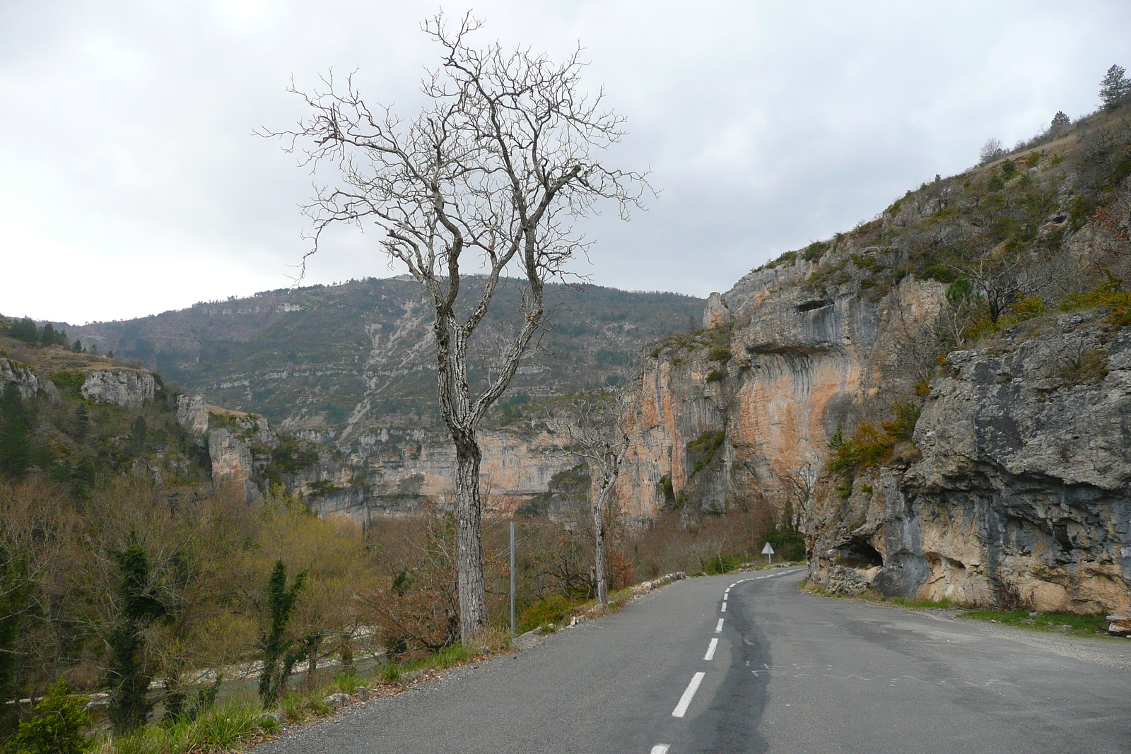 Photo France Gorges du Tarn 2008-04 28