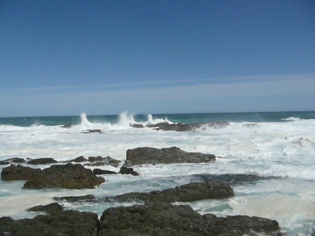 Photo Afrique du Sud Parc National Tsitsikamma 2008-09 116