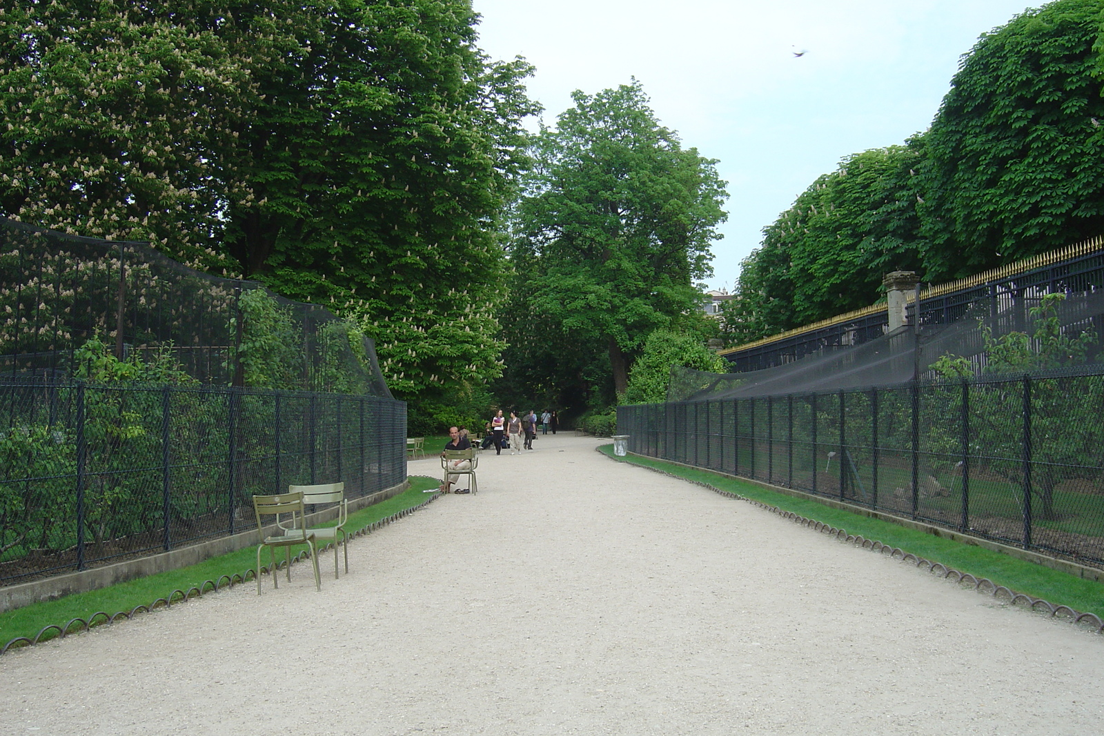 Photo France Paris Jardin du Luxembourg 2007-04 2