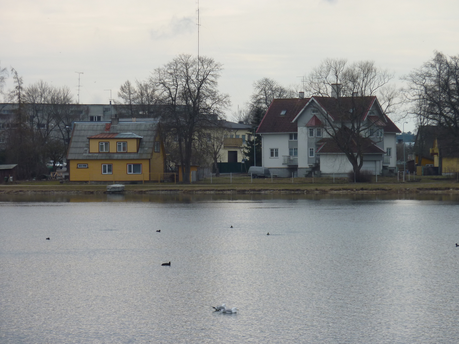 Photo Estonie Haapsalu 2009-04 22