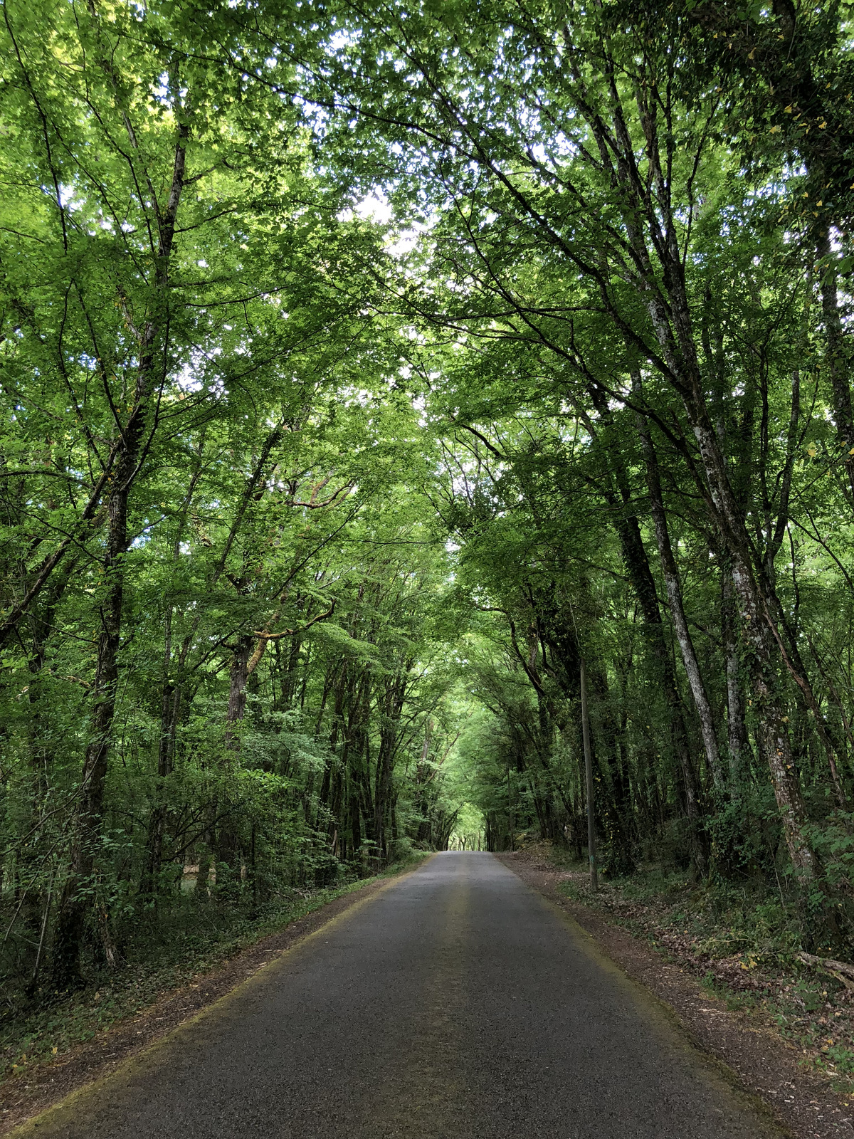 Photo France Floirac 2018-04 57