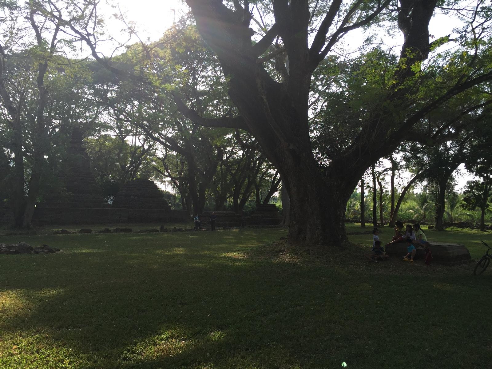 Photo Thaïlande Parc Si satchanalai 2014-12 13
