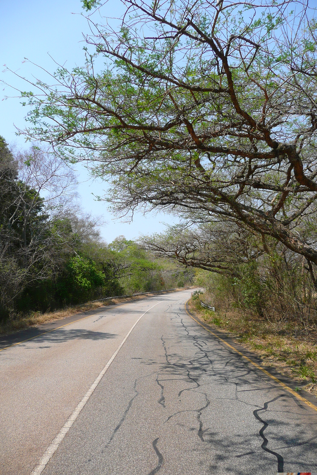 Photo Afrique du Sud route de Nelspruit à Johannesburg 2008-09 83