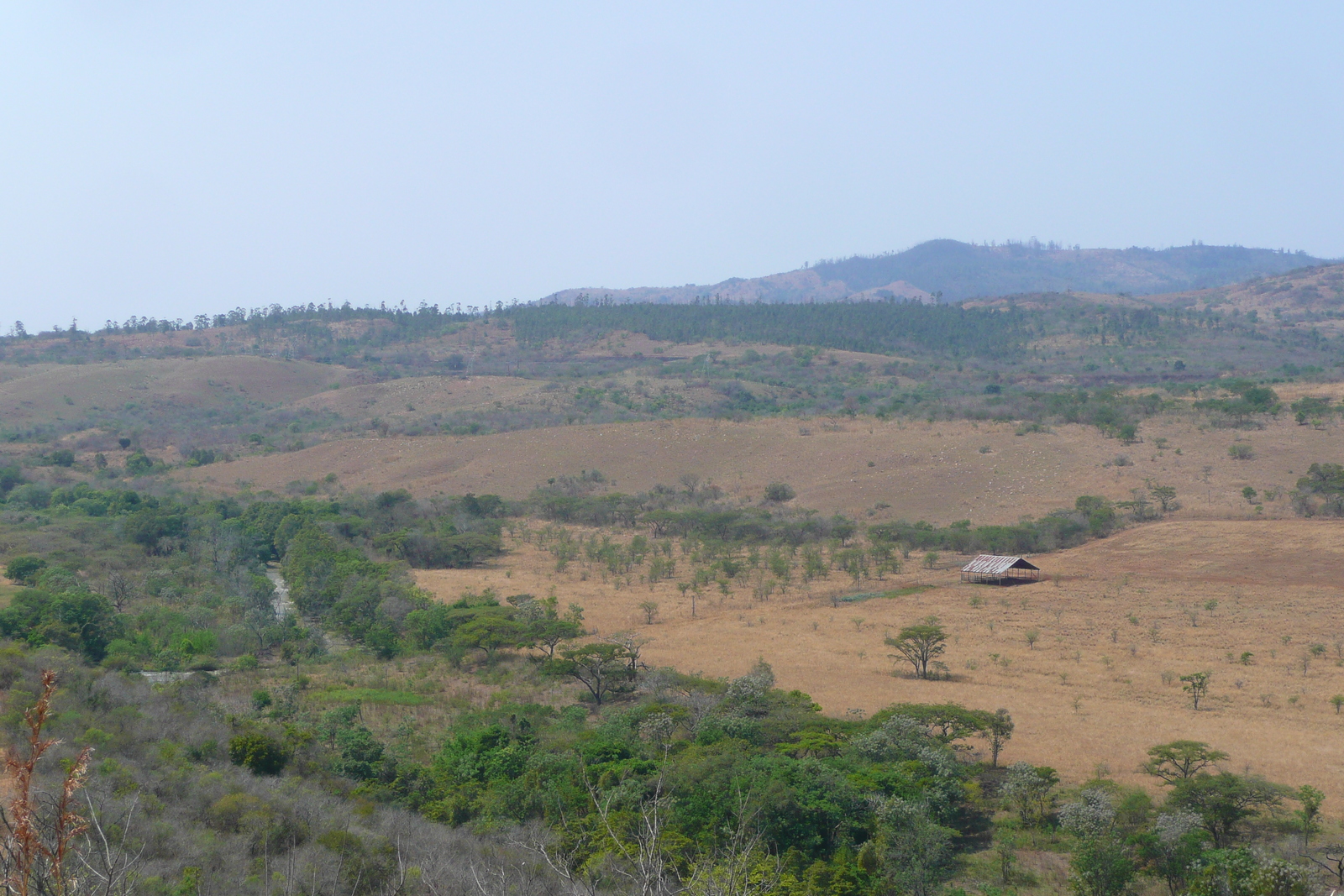 Photo Afrique du Sud route de Nelspruit à Johannesburg 2008-09 64