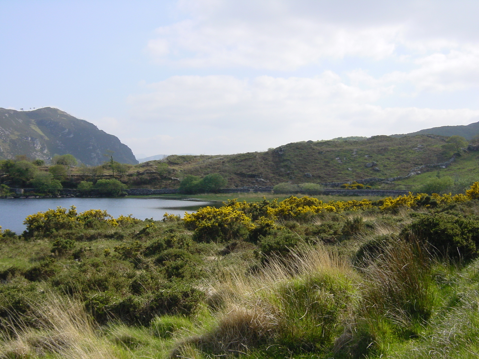 Photo Irlande Kerry Lac Caragh 2004-05 42