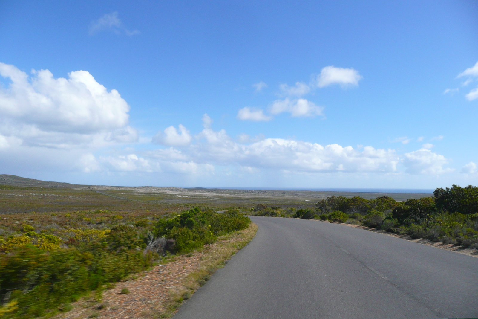 Photo Afrique du Sud Cap de Bonne Espérance pointe du cap de Bonne Espérance 2008-09 79