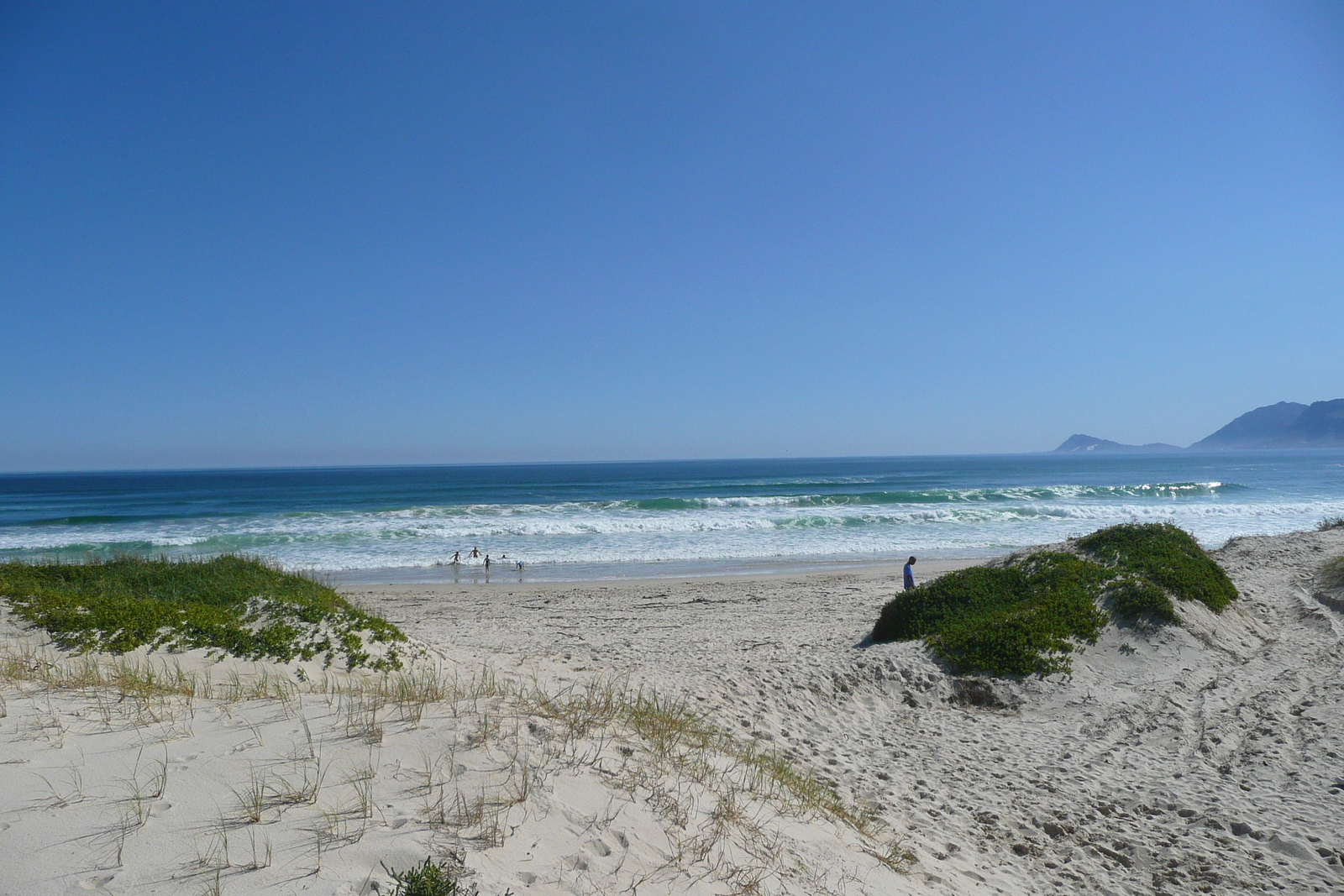 Photo Afrique du Sud route du Cape à Harmanus 2008-09 7