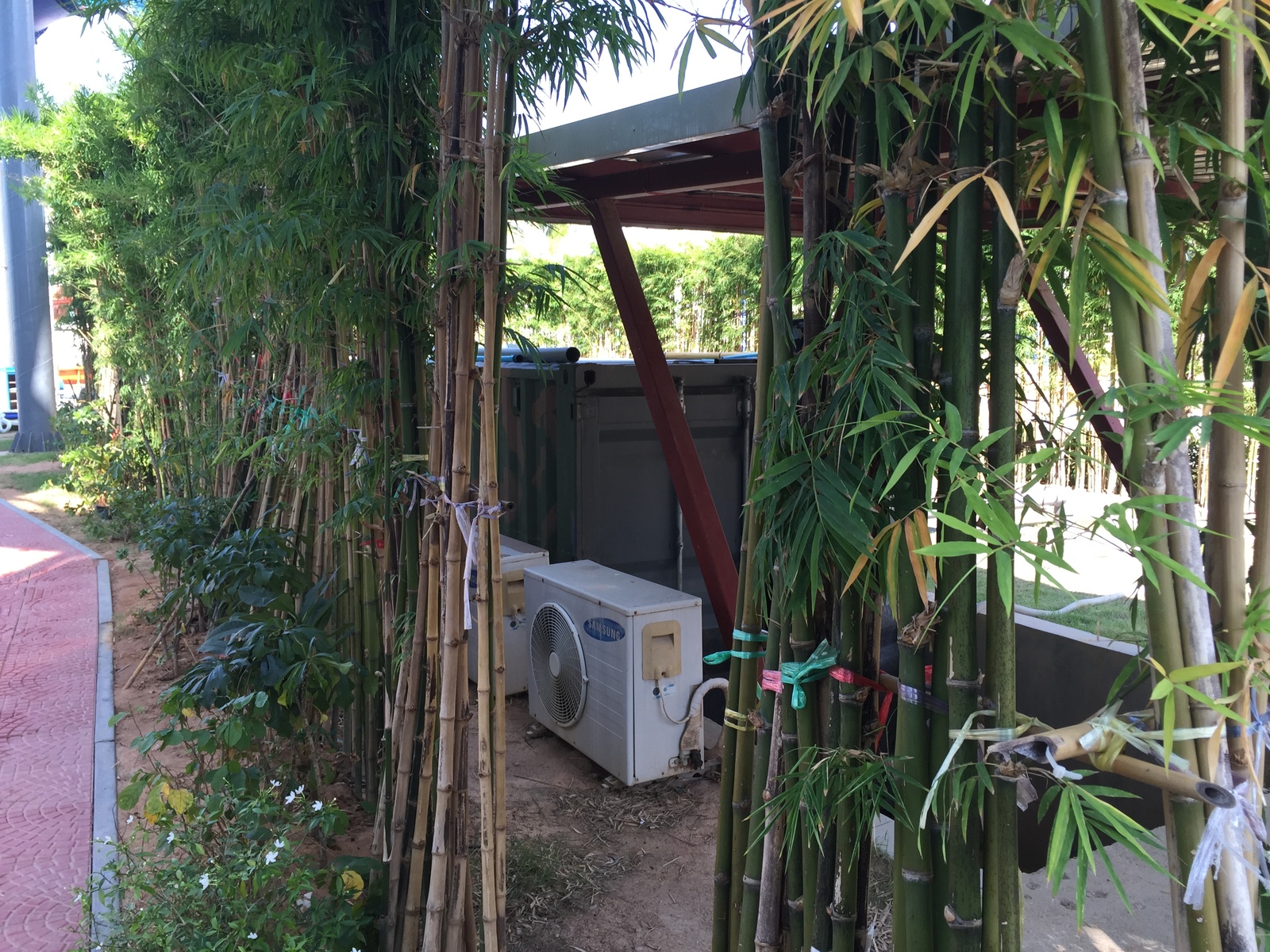 Photo Thaïlande Pattaya Parc aquatique Cartoon Network Amazone 2014-12 146