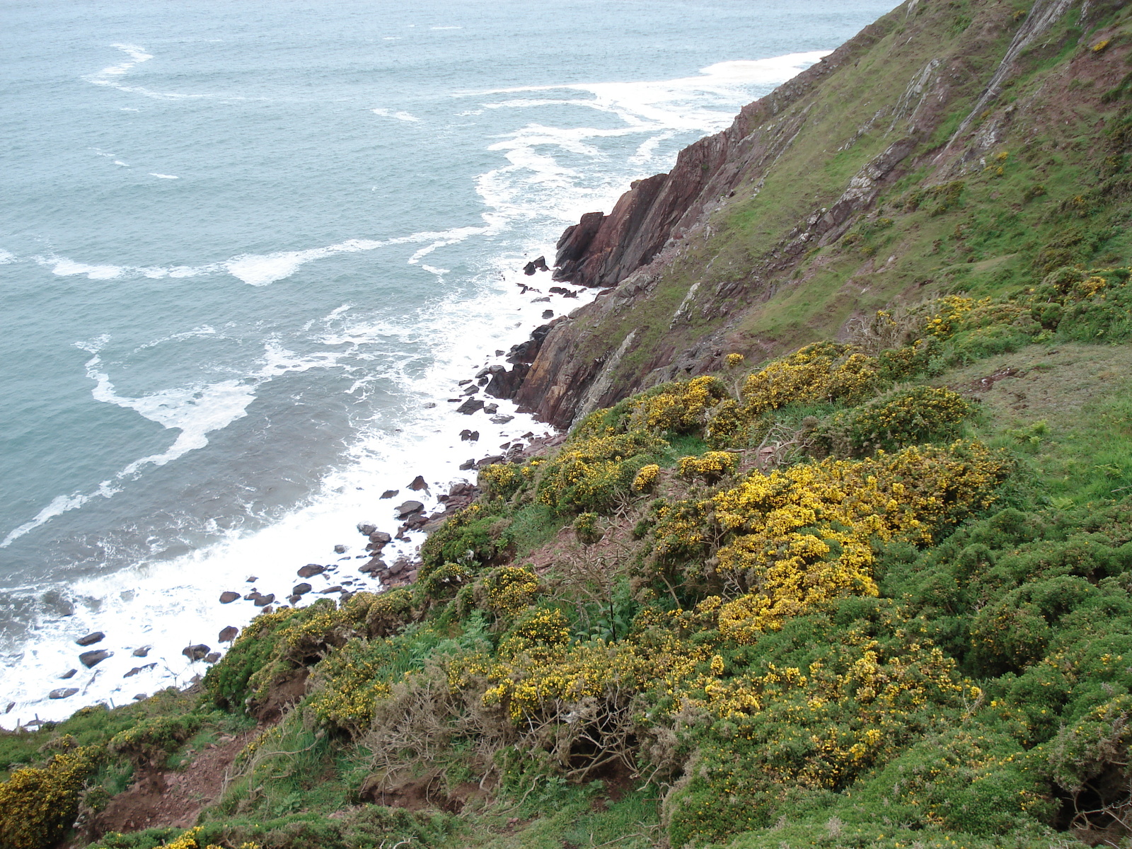 Photo Royaume-Uni Pembrokeshire Saint Ann's Head 2006-05 1