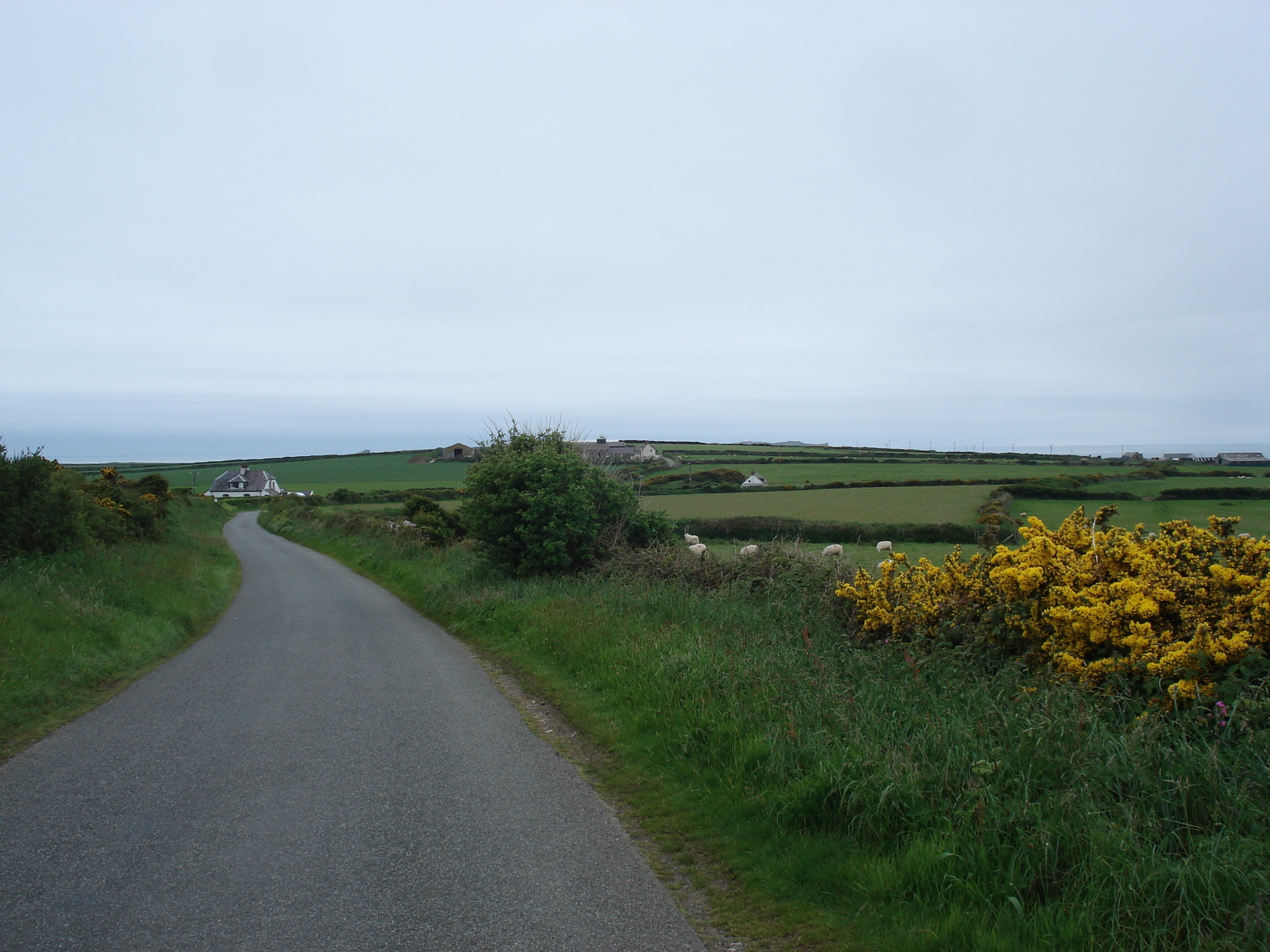 Photo Royaume-Uni Pembrokeshire 2006-05 5
