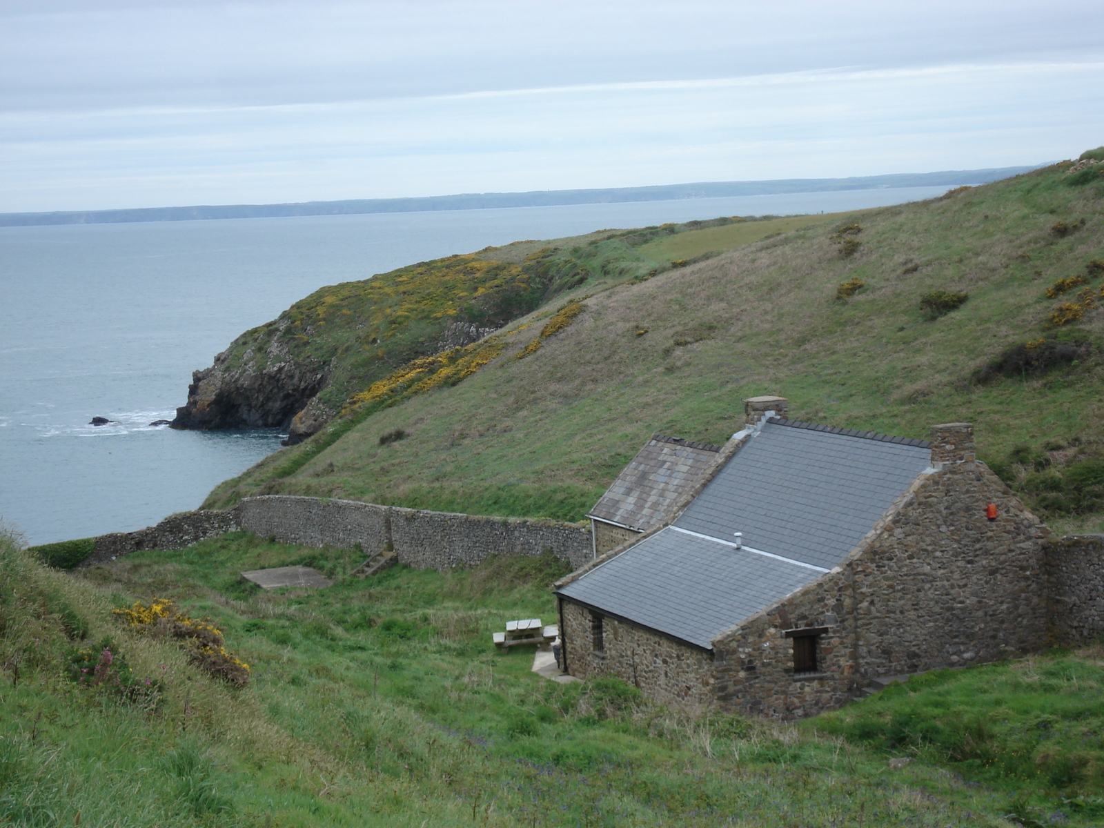 Photo Royaume-Uni Pembrokeshire Martins Havens 2006-05 24