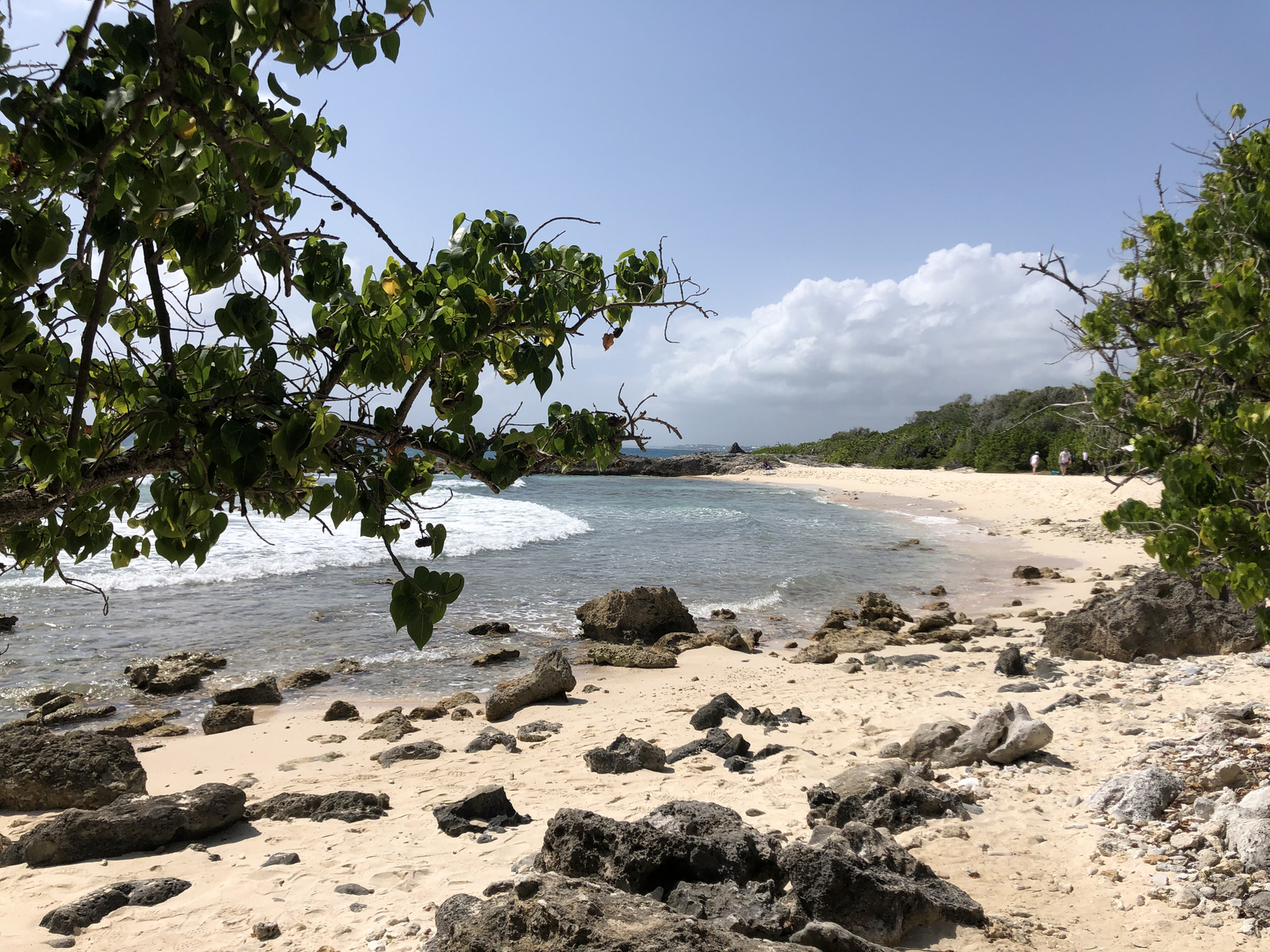 Photo Guadeloupe Pointe des Châteaux 2021-02 50