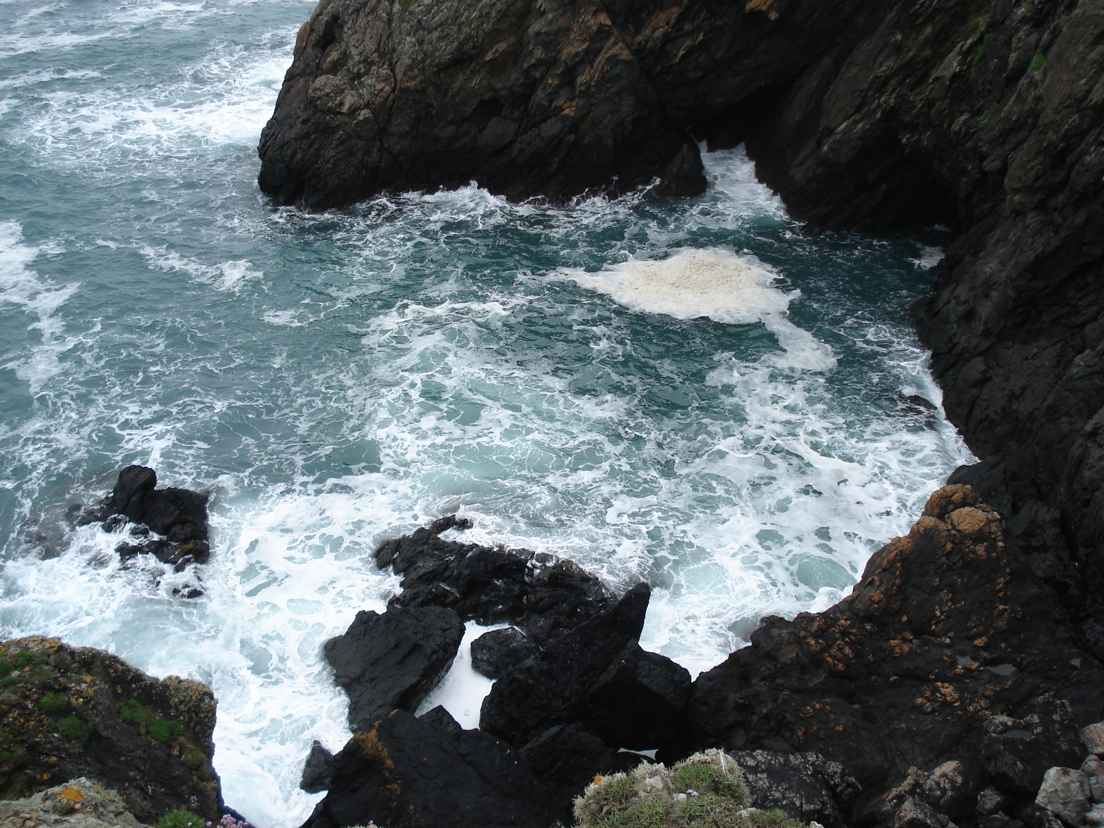 Photo Royaume-Uni Pembrokeshire Martins Havens 2006-05 4