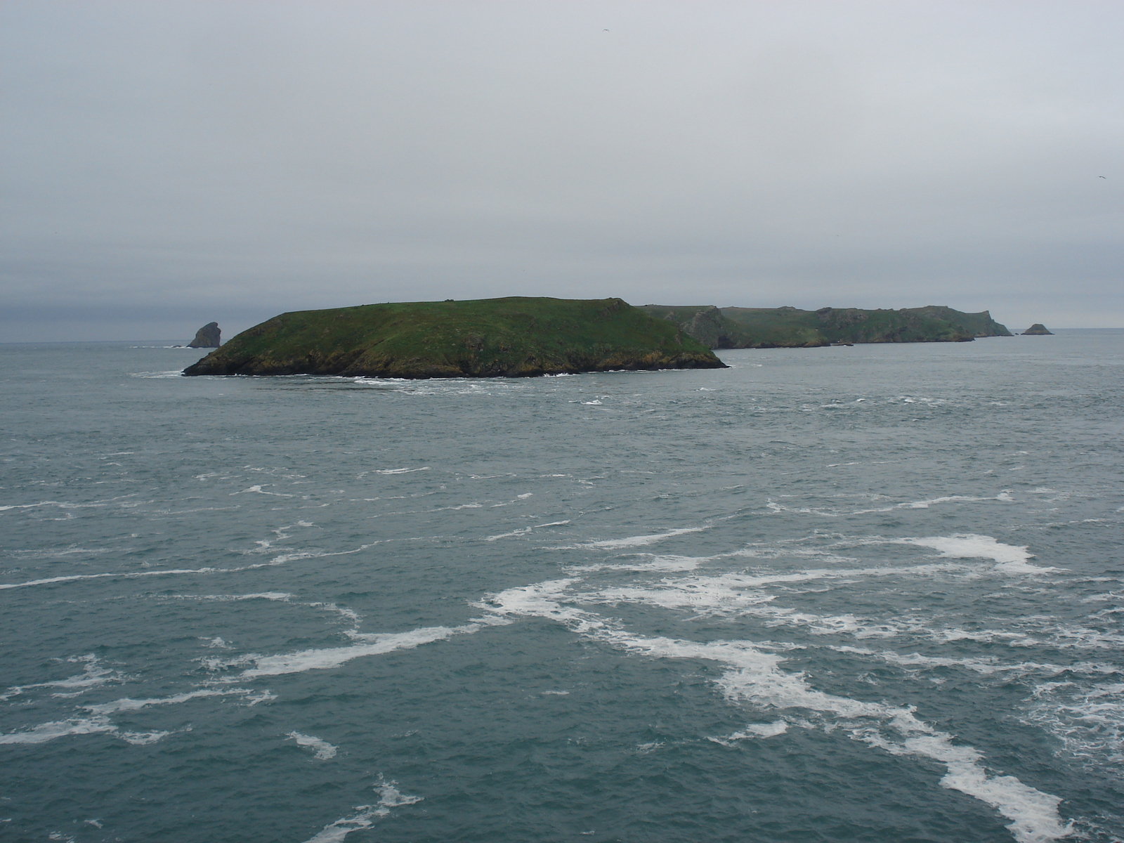 Photo Royaume-Uni Pembrokeshire Martins Havens 2006-05 2