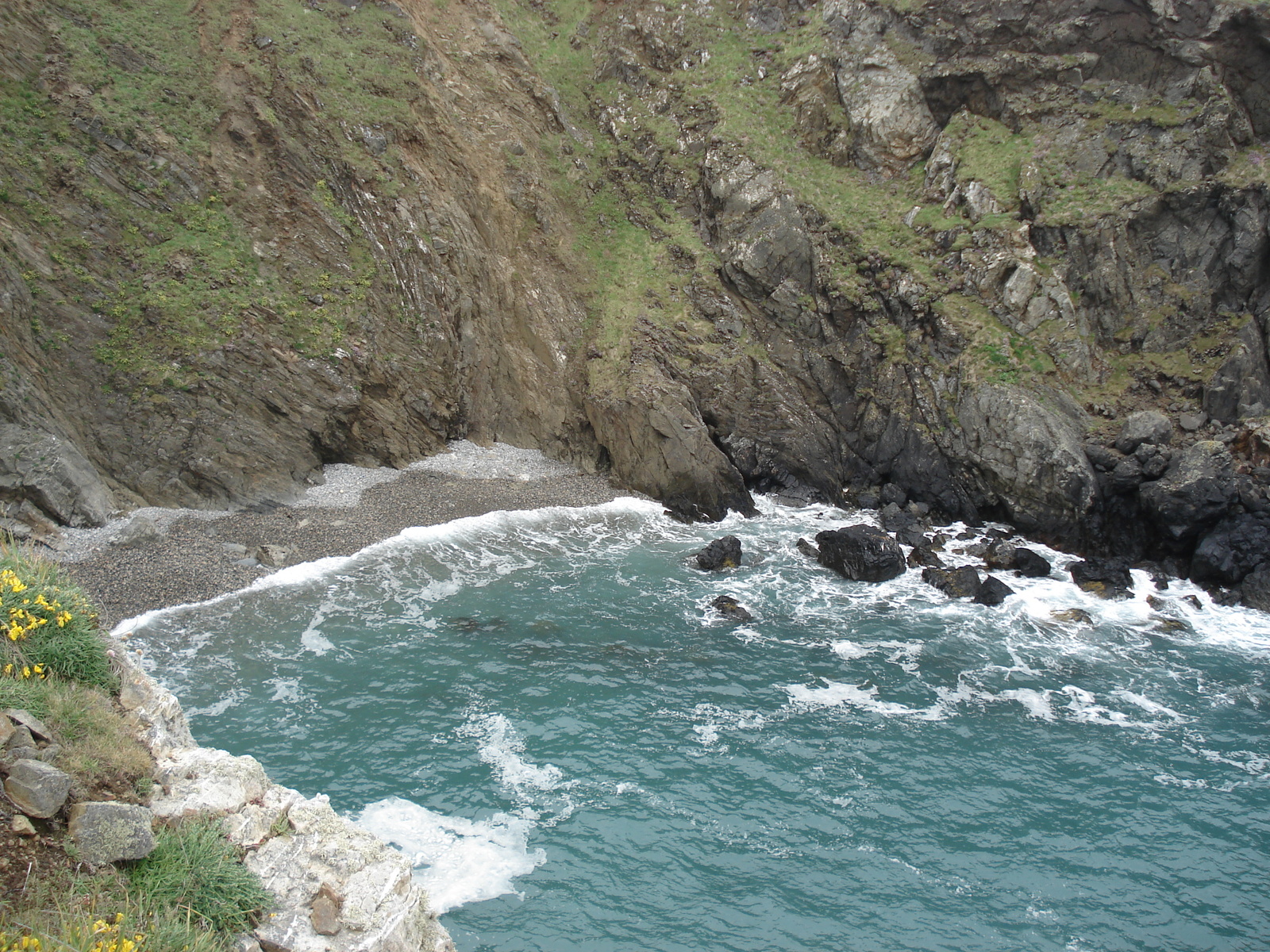 Photo Royaume-Uni Pembrokeshire Martins Havens 2006-05 25