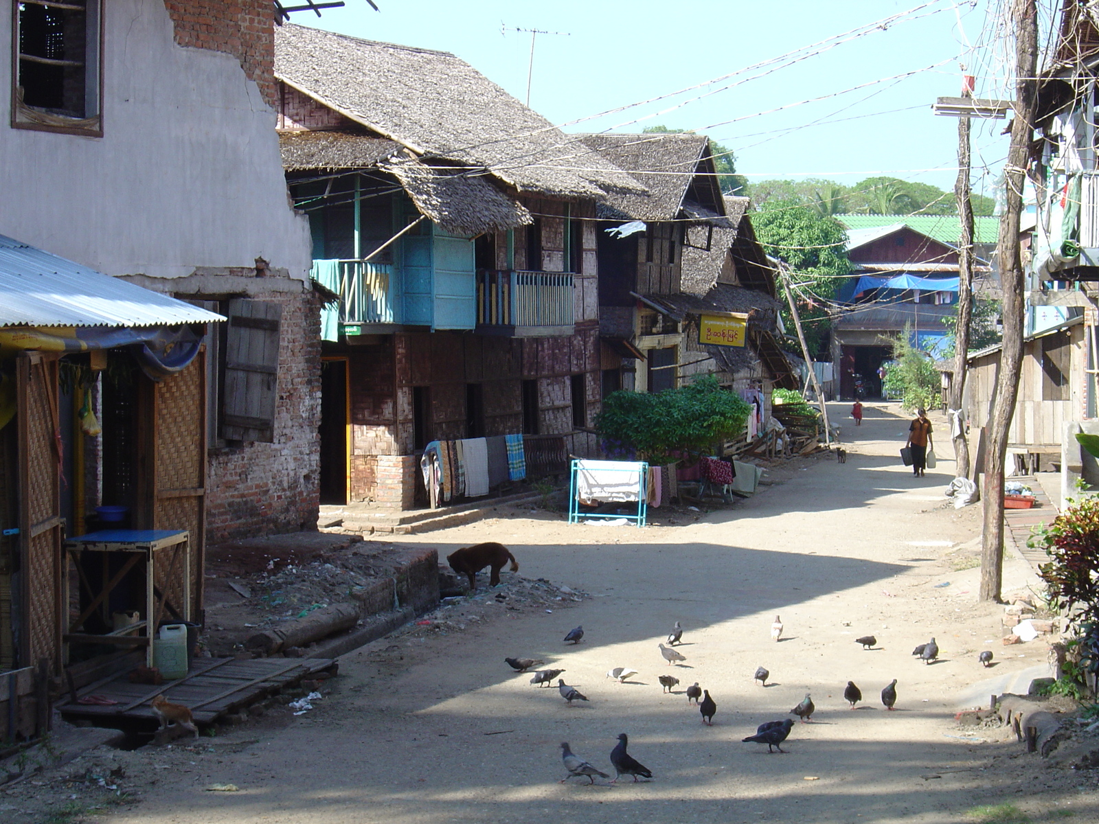 Photo Birmanie (Myanmar) Myeik (Mergui) 2005-01 155