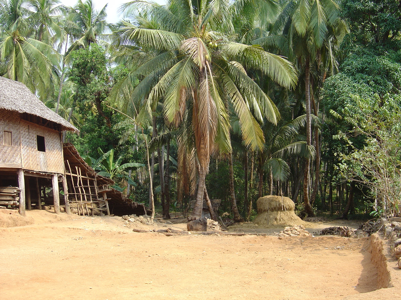 Photo Birmanie (Myanmar) Nord de Maungmagan 2005-01 59