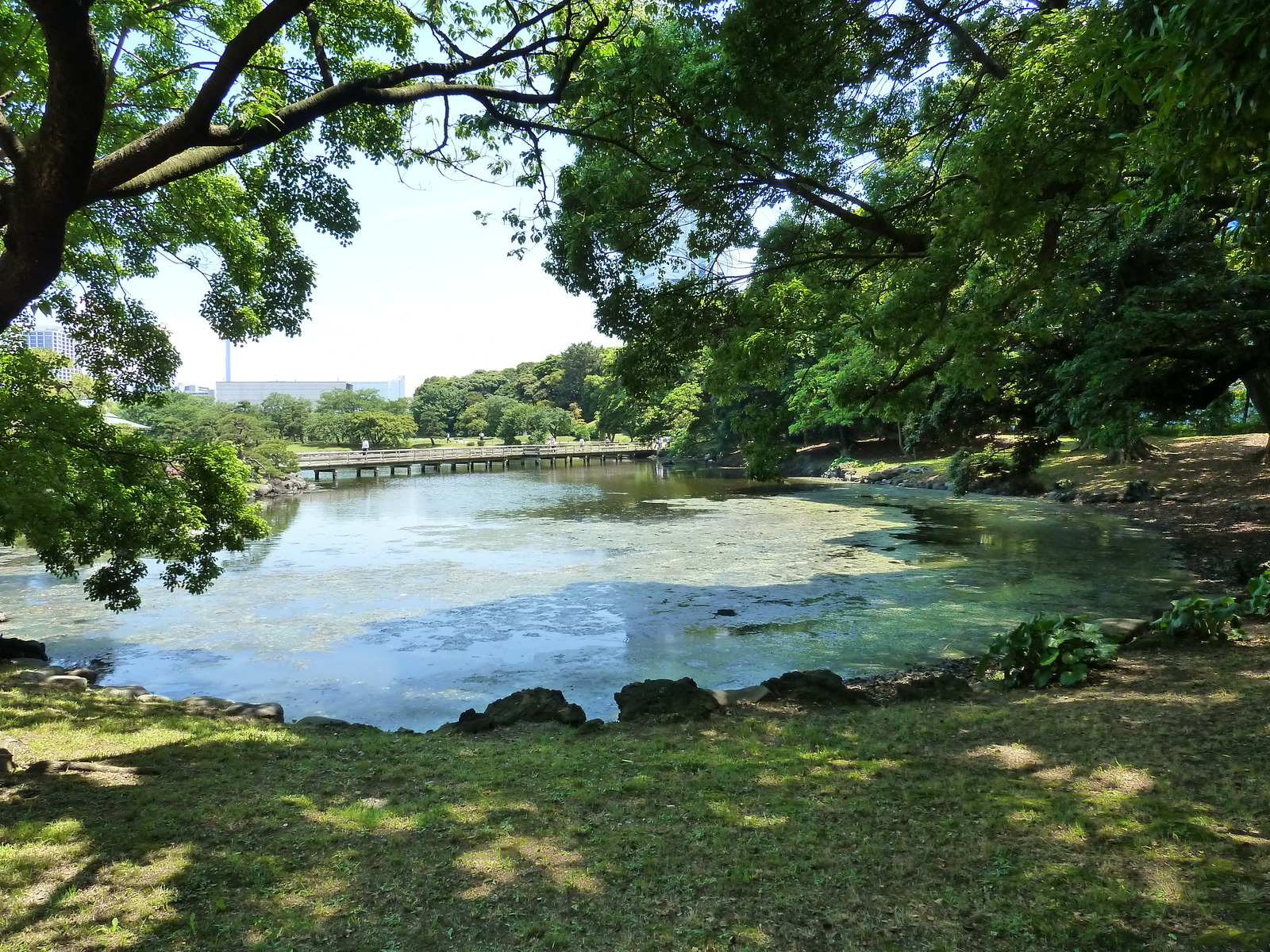 Photo Japon Tokyo Jardins Hama rikyu 2010-06 99