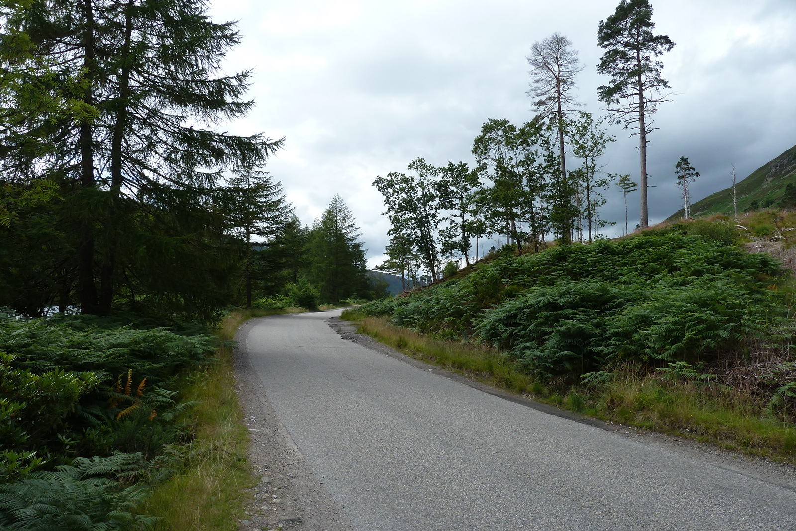 Photo Royaume-Uni Wester Ross 2011-07 46
