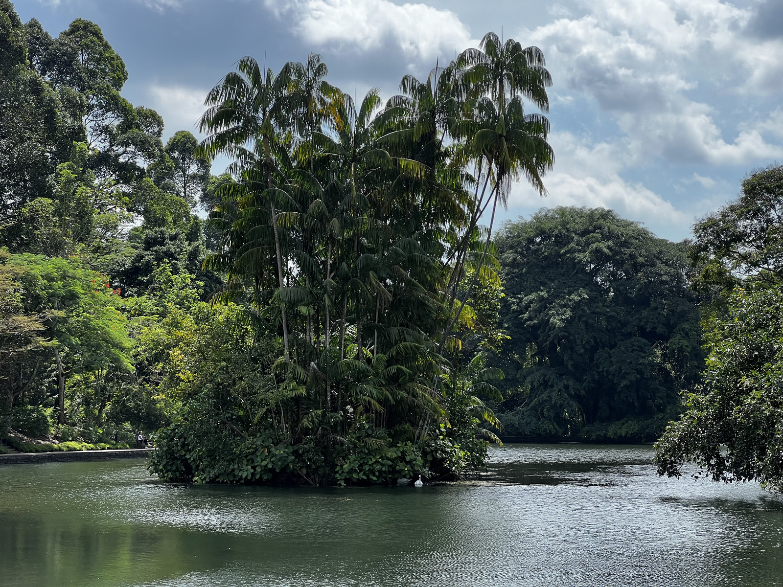 Photo Singapour Jardins botaniques de Singapore 2023-01 104