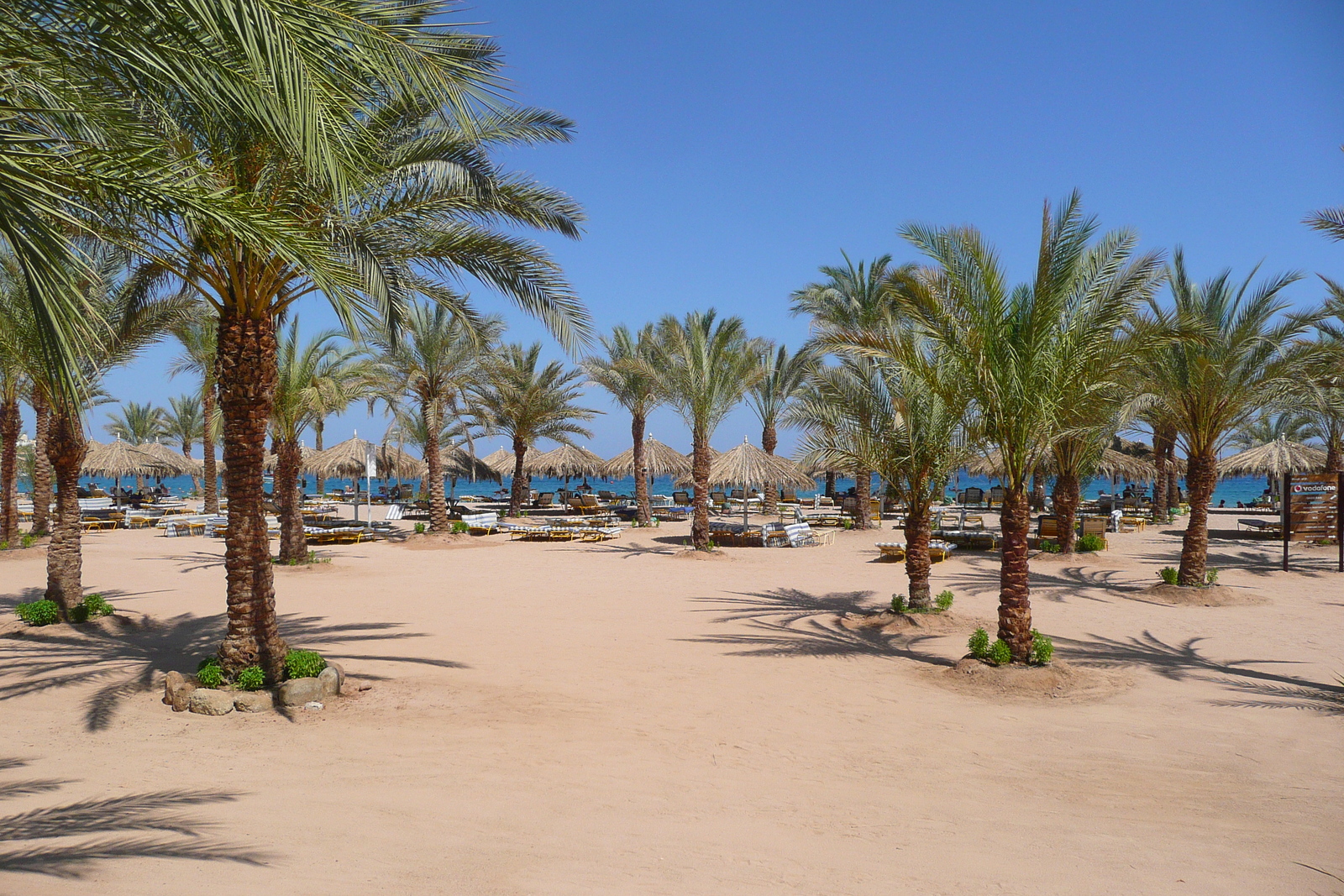 Photo Égypte Sharm el Sheikh 2008-06 34
