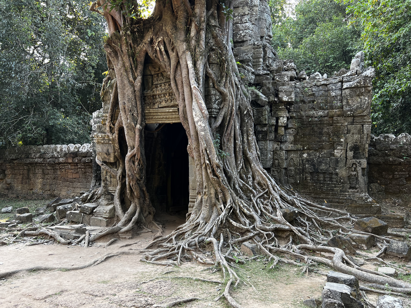 Photo Cambodge Siem Reap Ta Som 2023-01 29