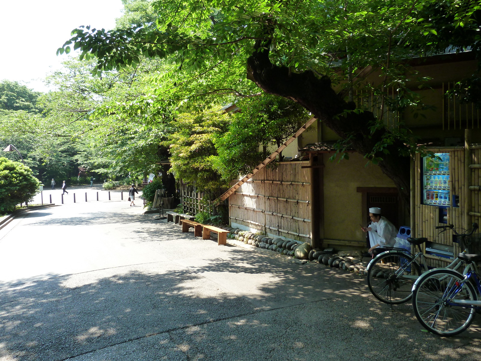 Photo Japon Tokyo Ueno 2010-06 14