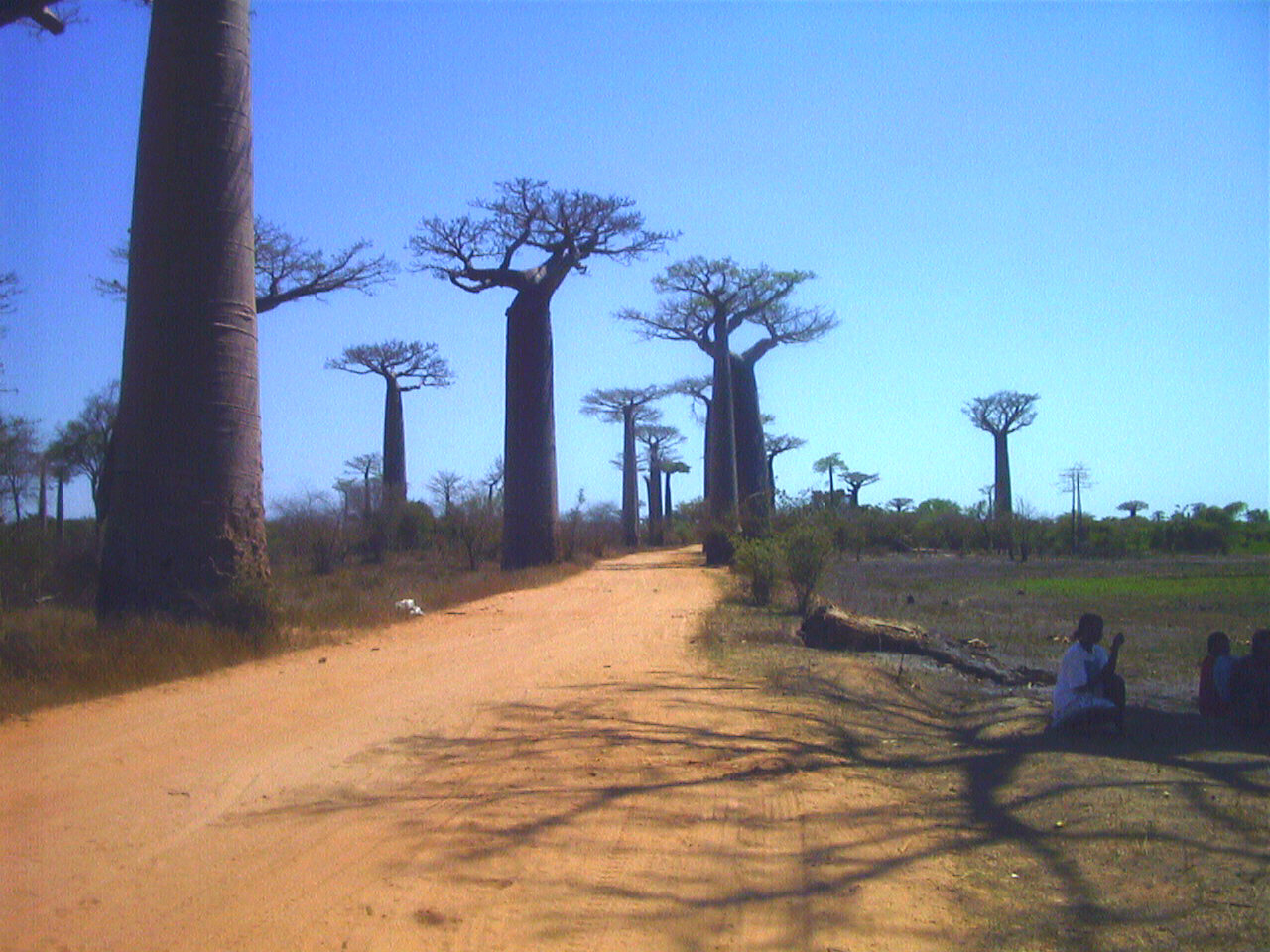 Photo Madagascar Morondava 1999-10 10