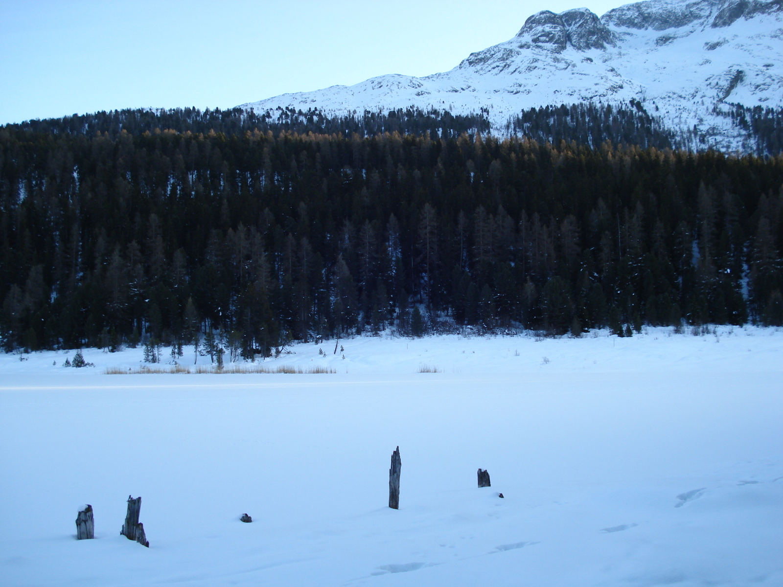Photo Suisse Saint Moritz Schlarigna 2007-01 70